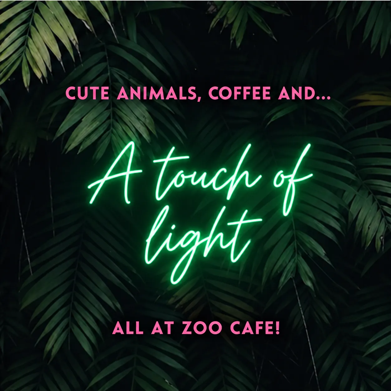 Animals, coffee, and… a touch of light! All at Zoo Cafe!