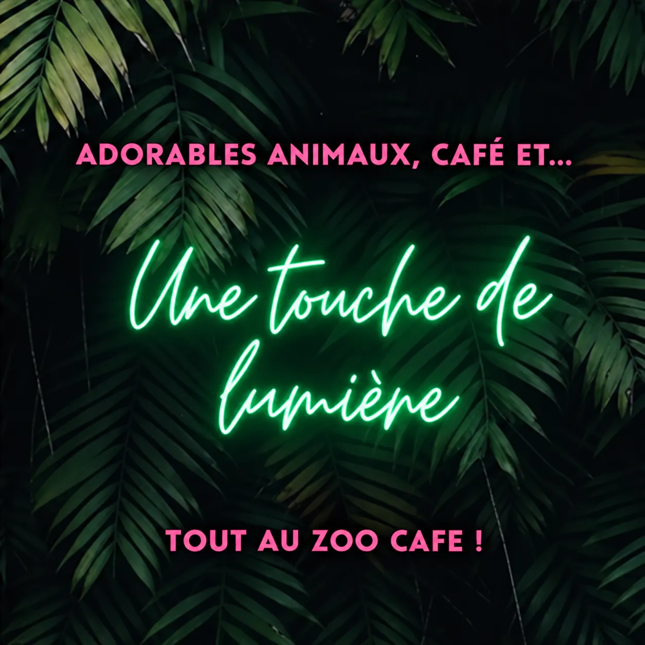 Animaux, café et… une touche de lumière ! Tout au Zoo Café !