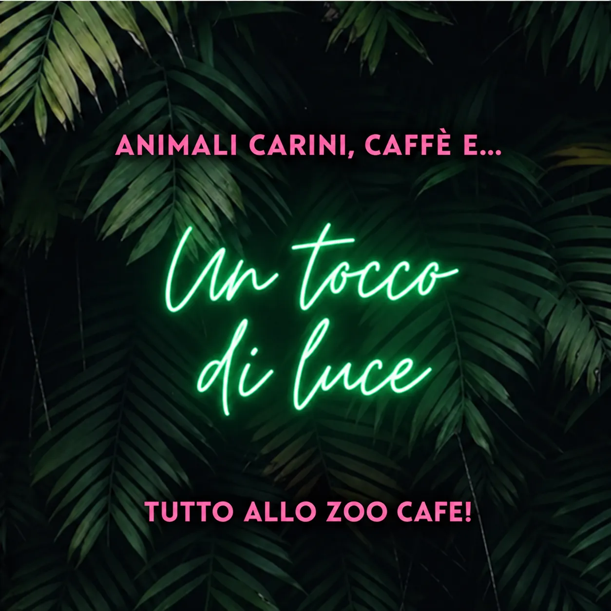 Animaletti, caffè e... un tocco di luce! Tutto allo Zoo Cafe!