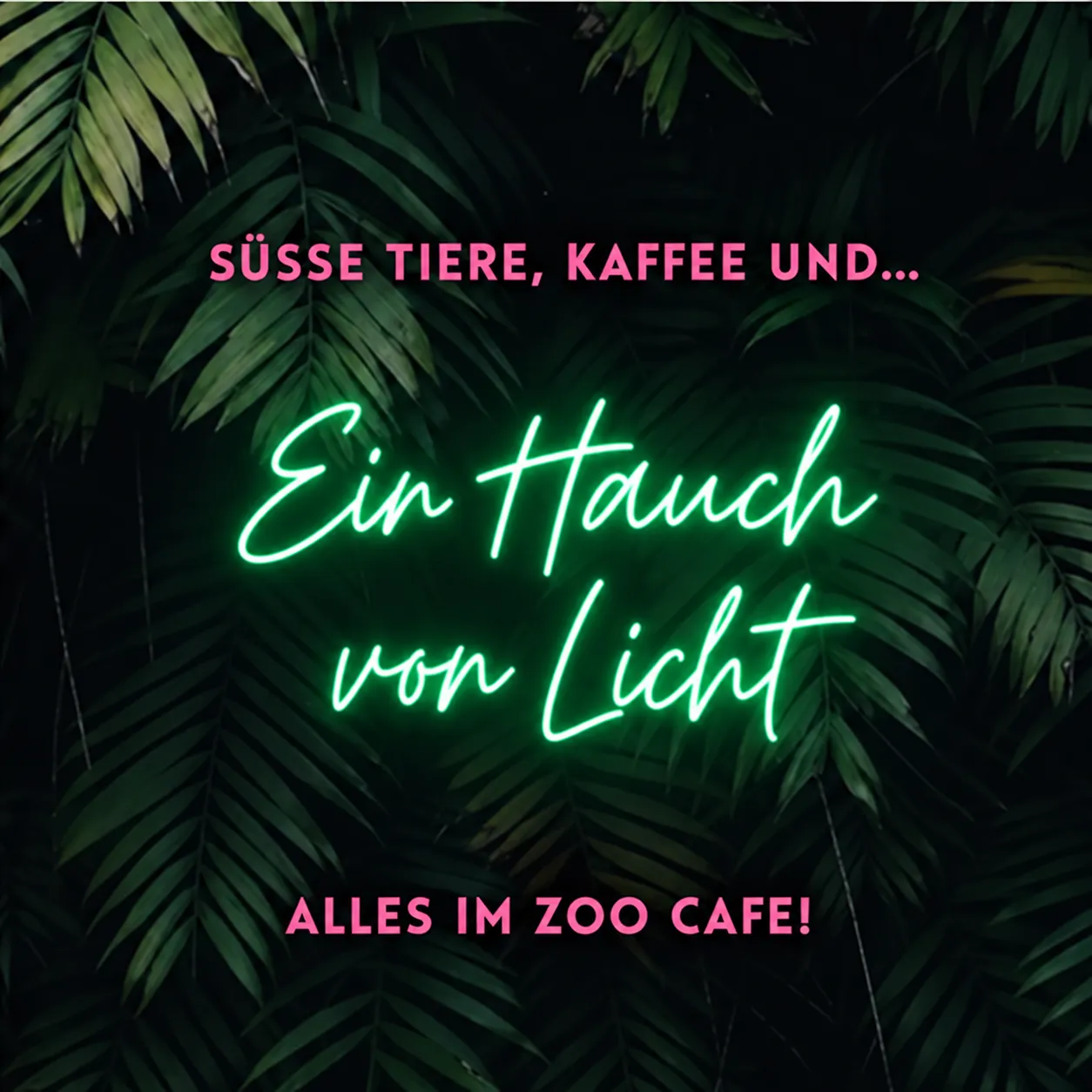 Tiere, Kaffee und… ein Hauch von Licht! Alles bei Zoo Cafe!