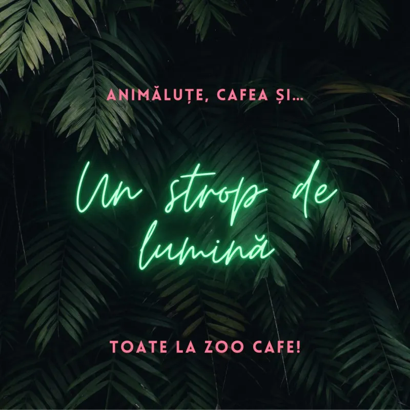 Animăluțe, cafea și… un strop de lumină!  Toate la Zoo Cafe!