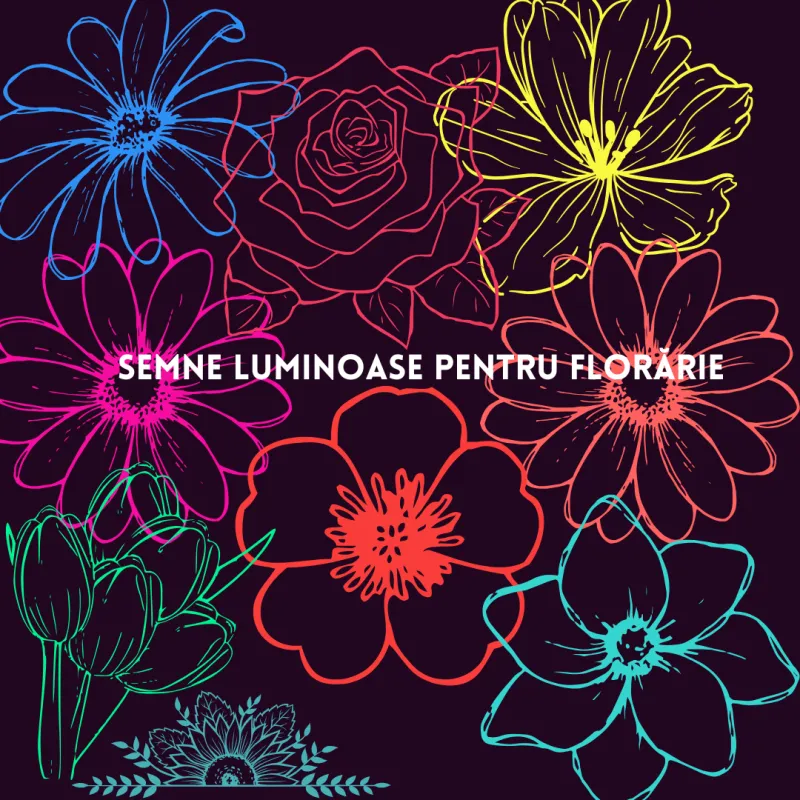 O florărie fără un semn luminos este ca un buchet de flori fără miros