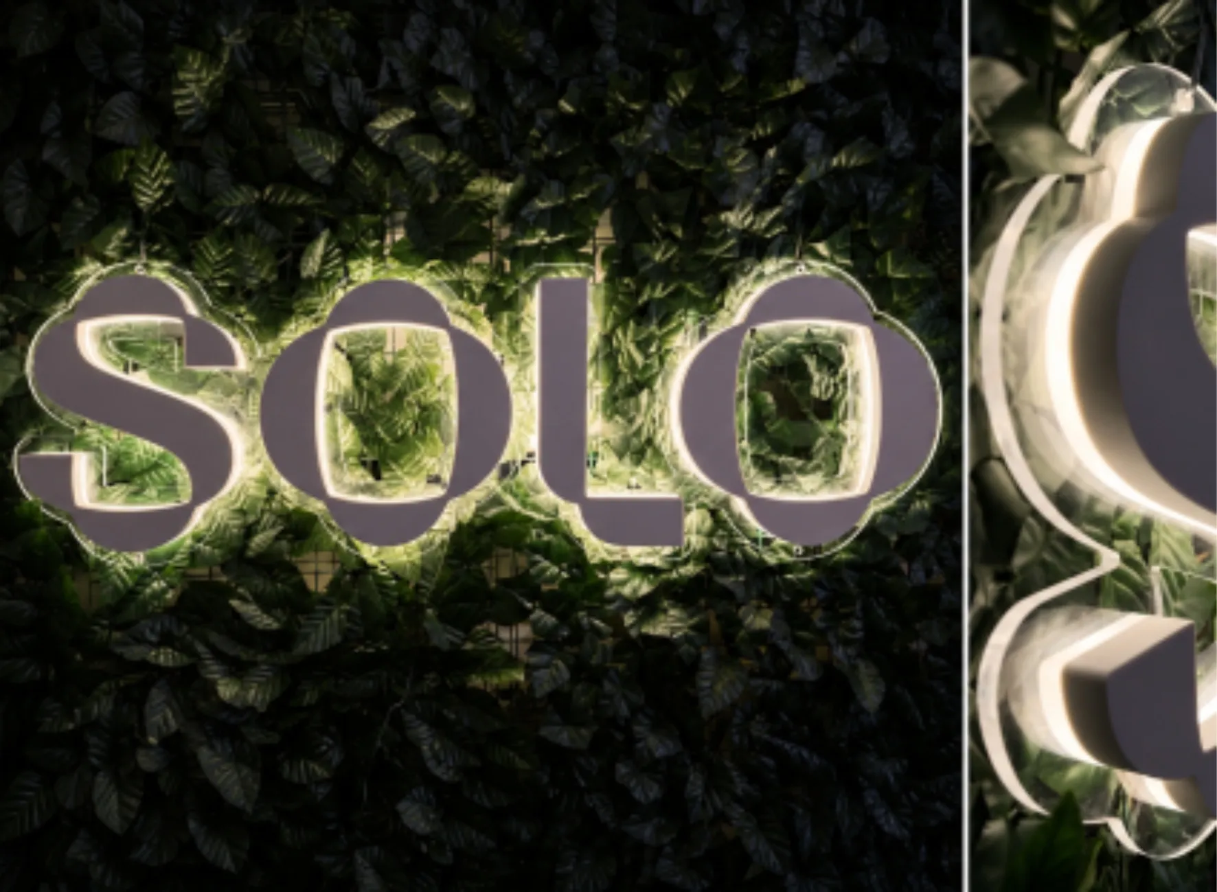 SOLO