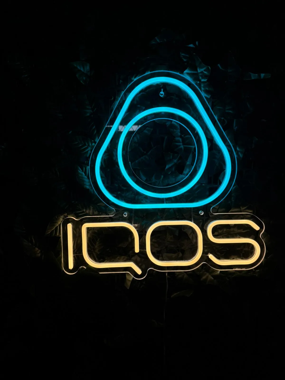 IQOS