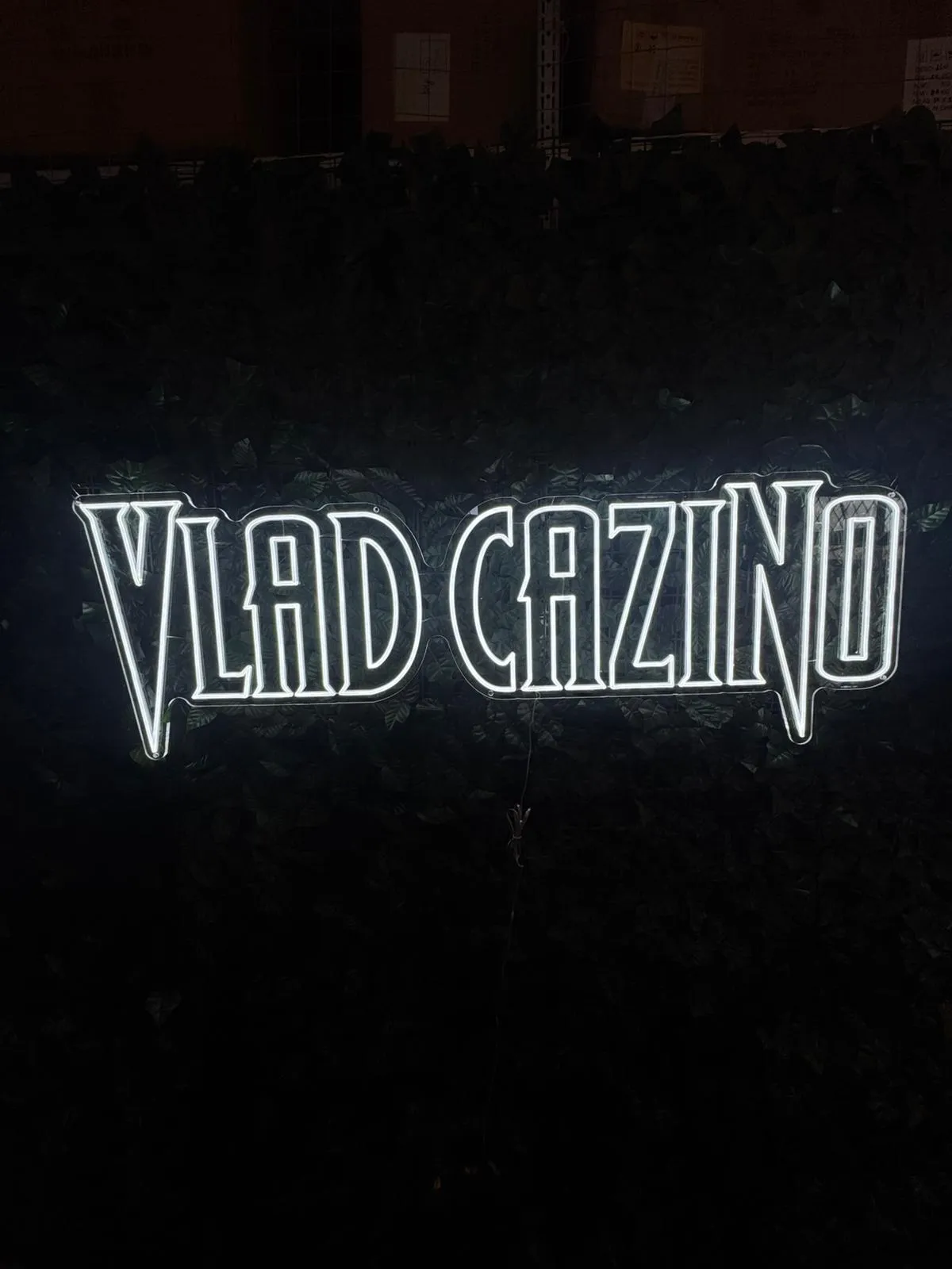 Vlad Cazino