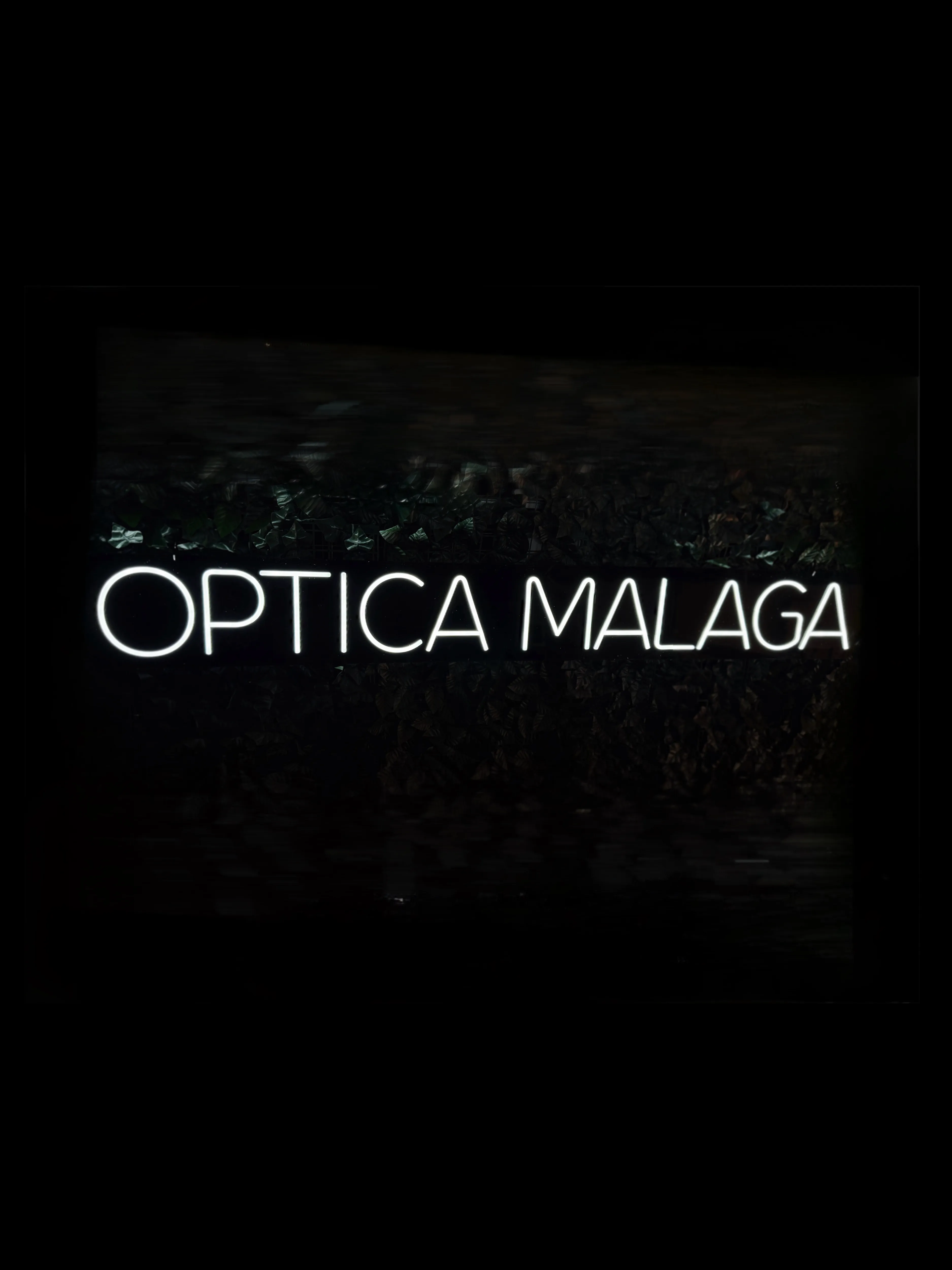 Optica Malaga