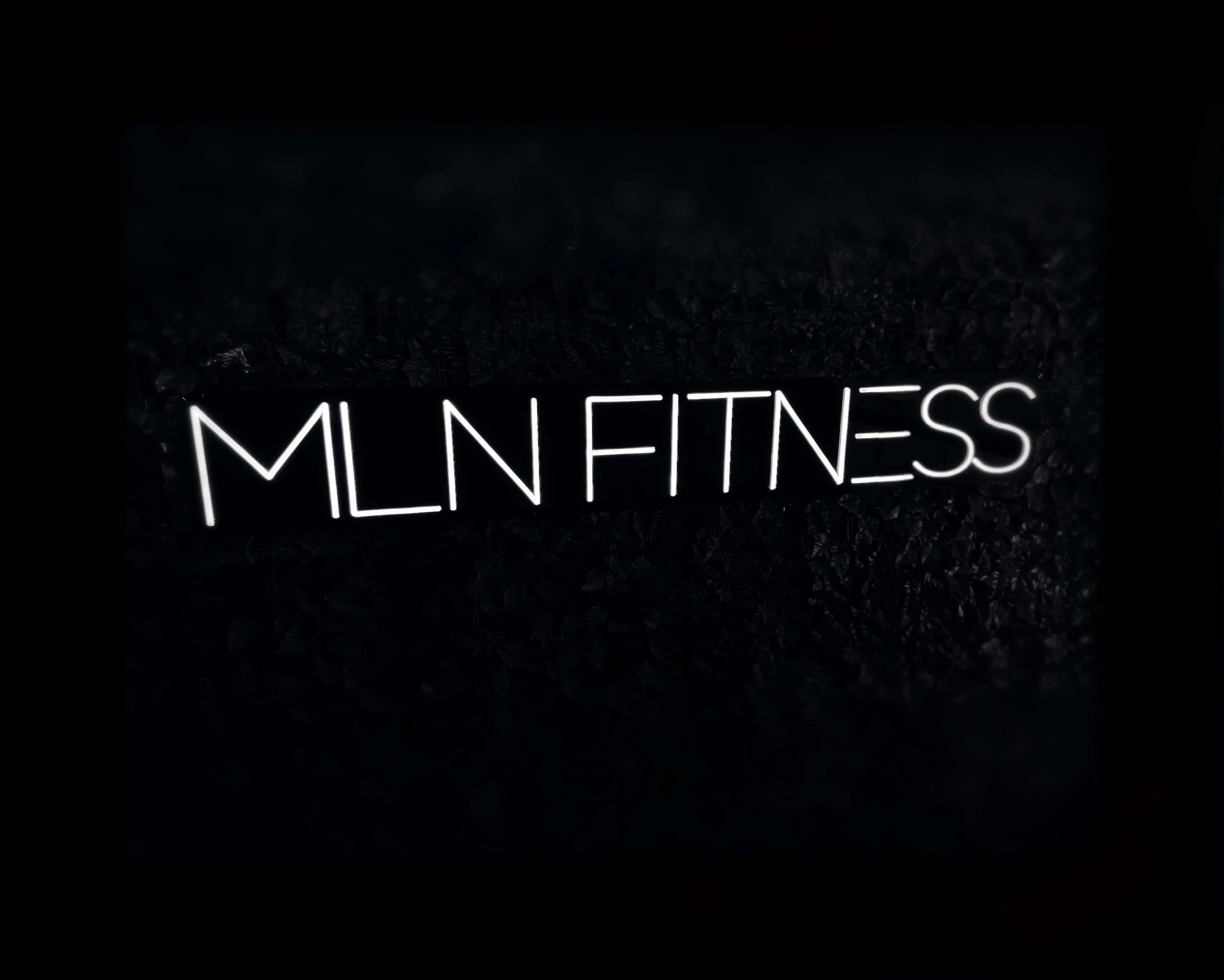 MLD Fitness