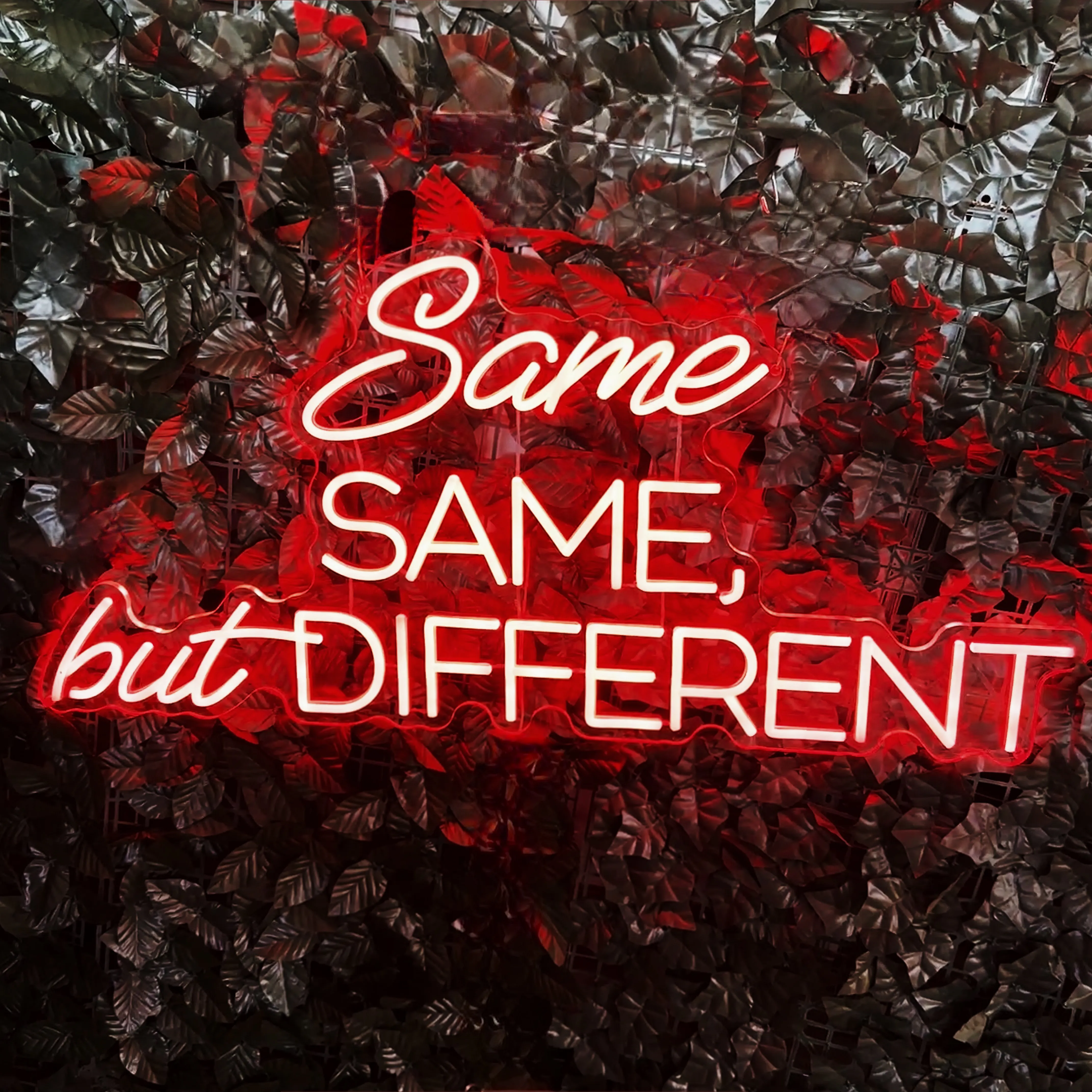 Same Same, but Different