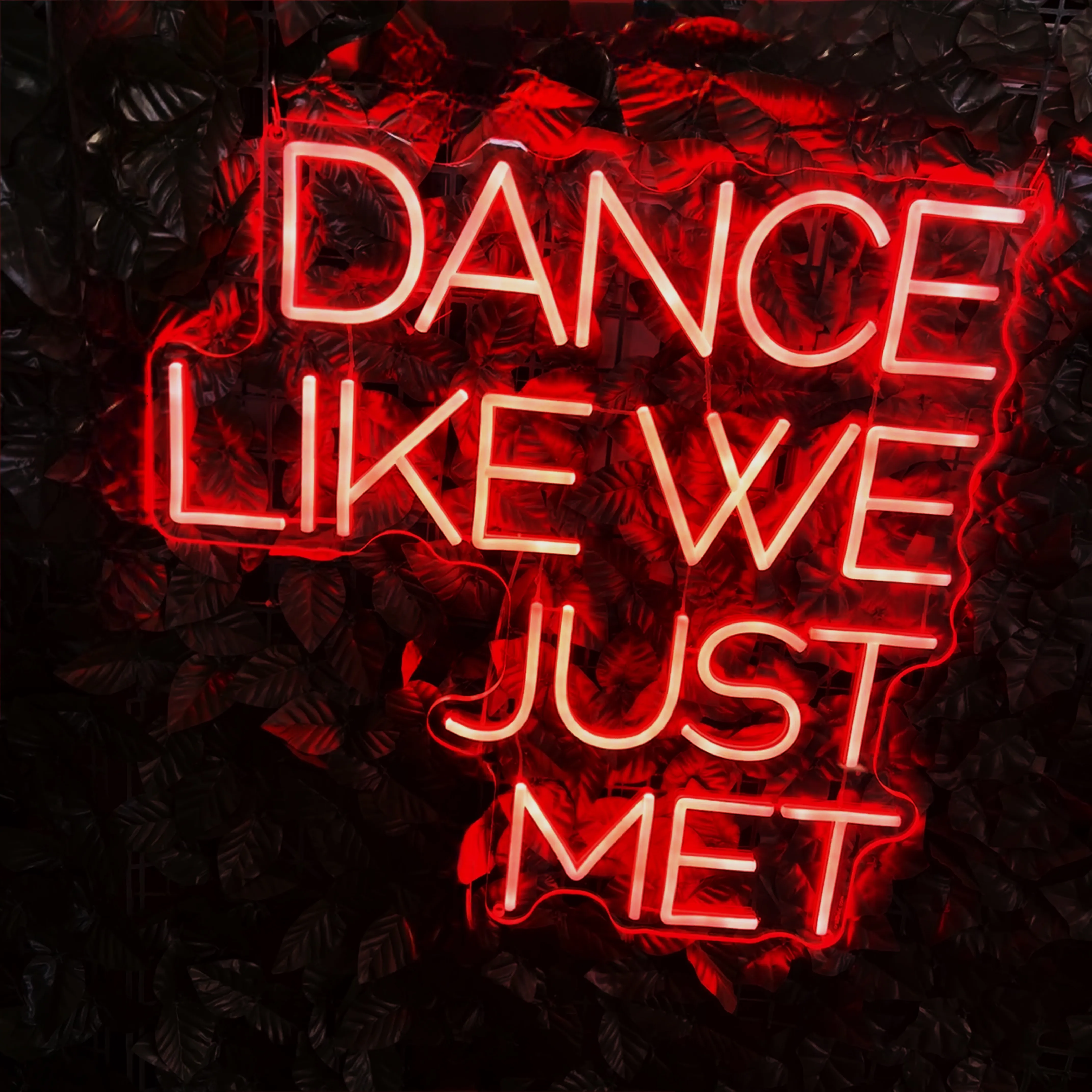 DANCE LIKE WE JUST MET