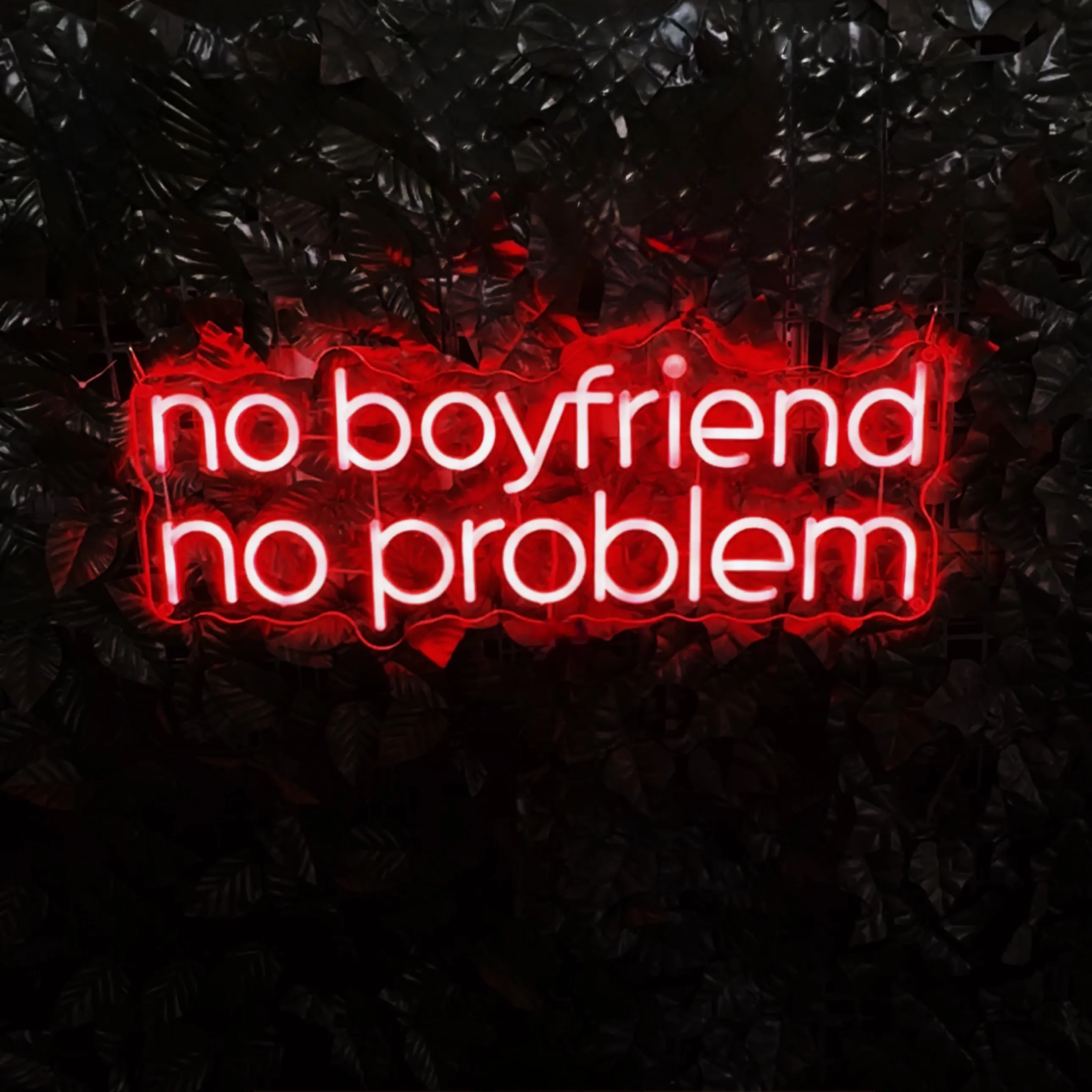 No Boyfriend No Problem