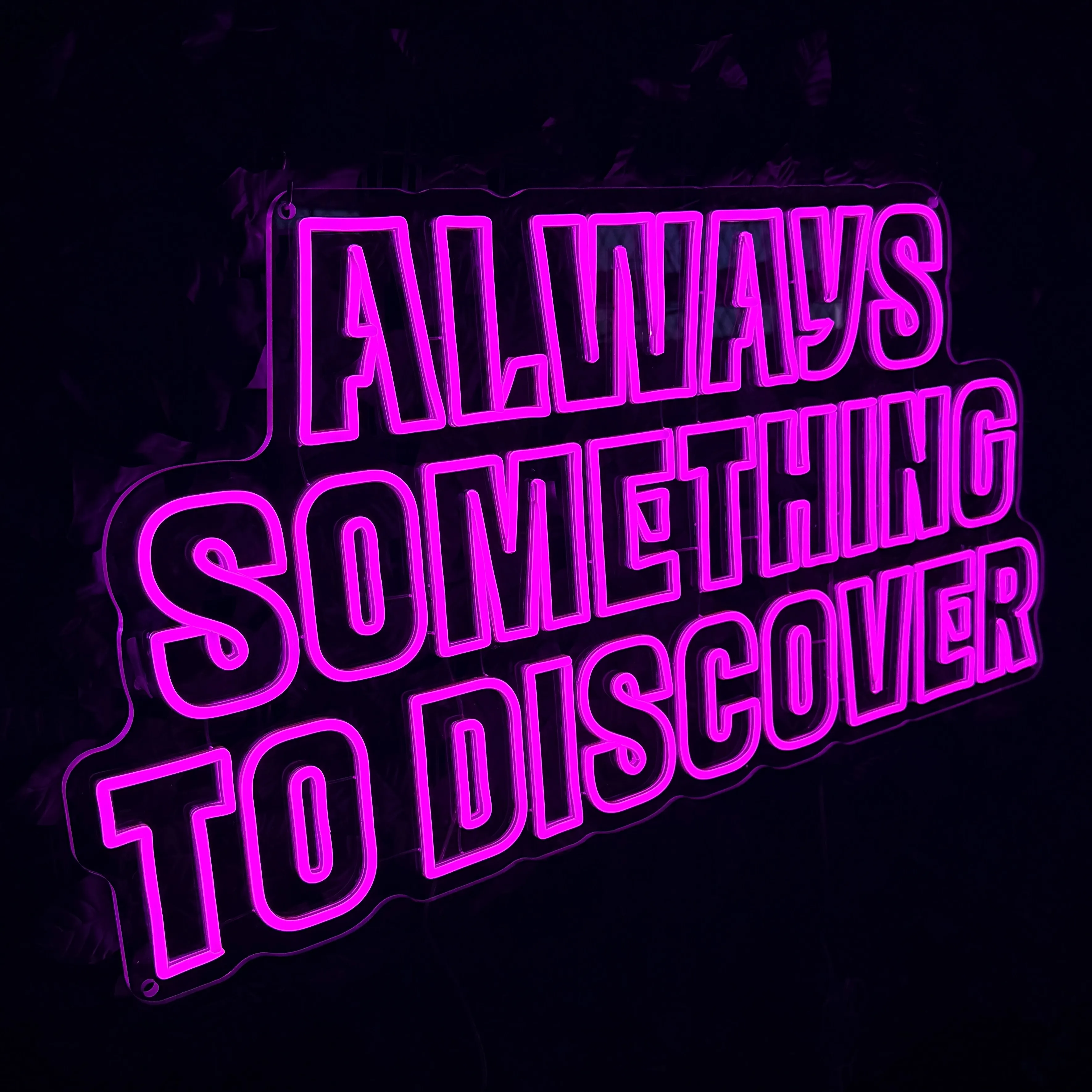 ALWAYS SOMETHING TO DISCOVER