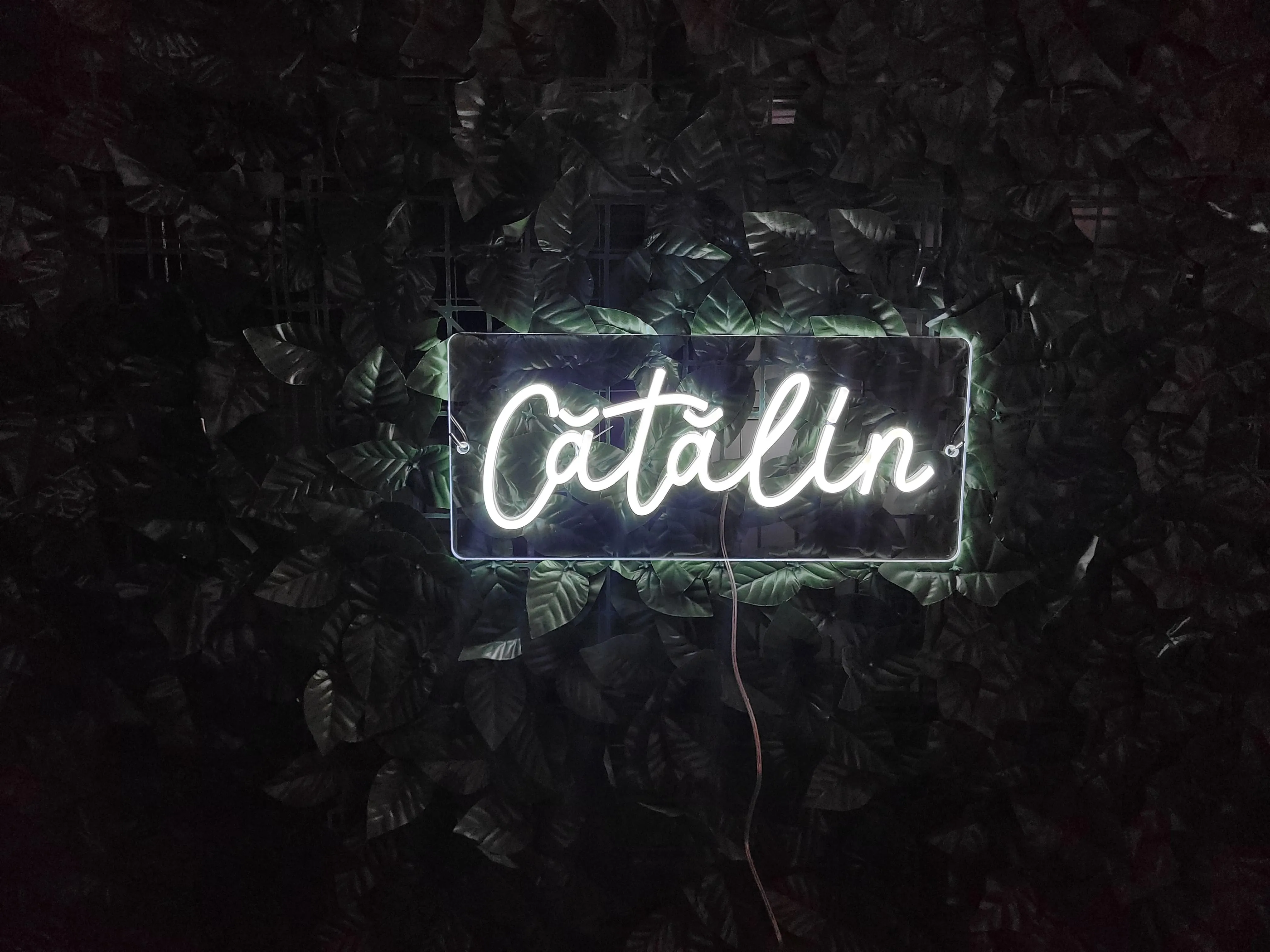 Catalin