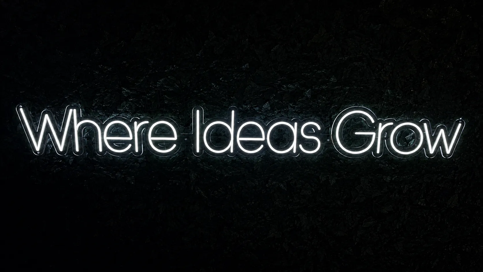 Where Ideas Grow