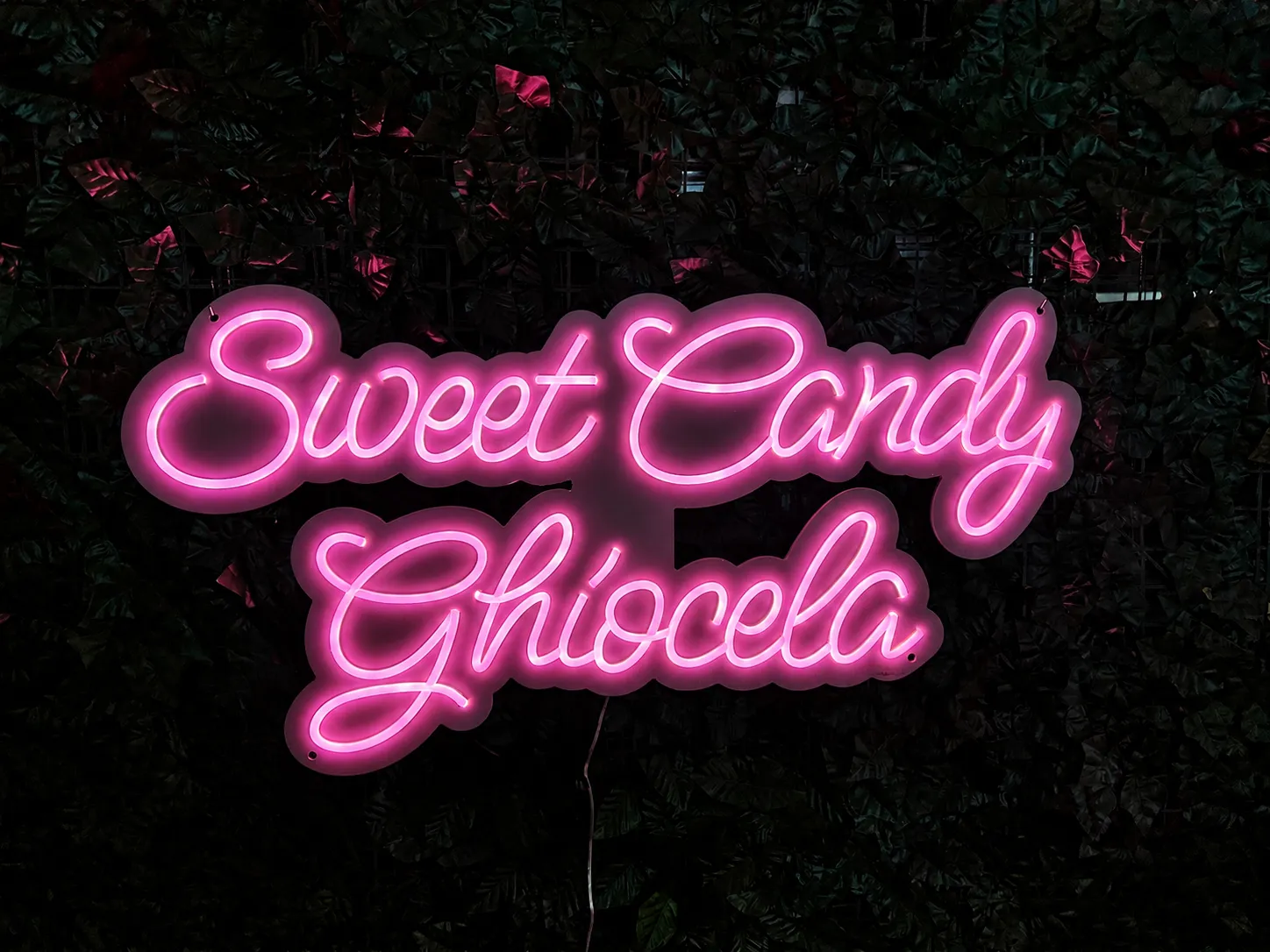Sweet Candy Ghiocela