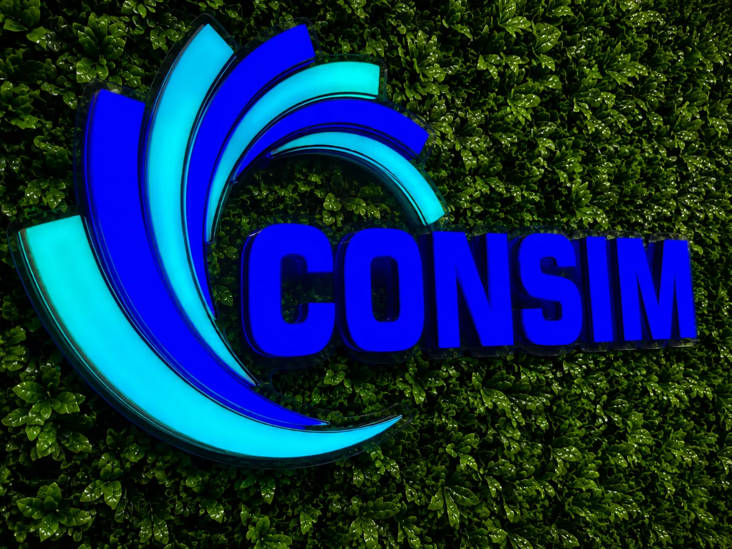 CONSIM INVEST