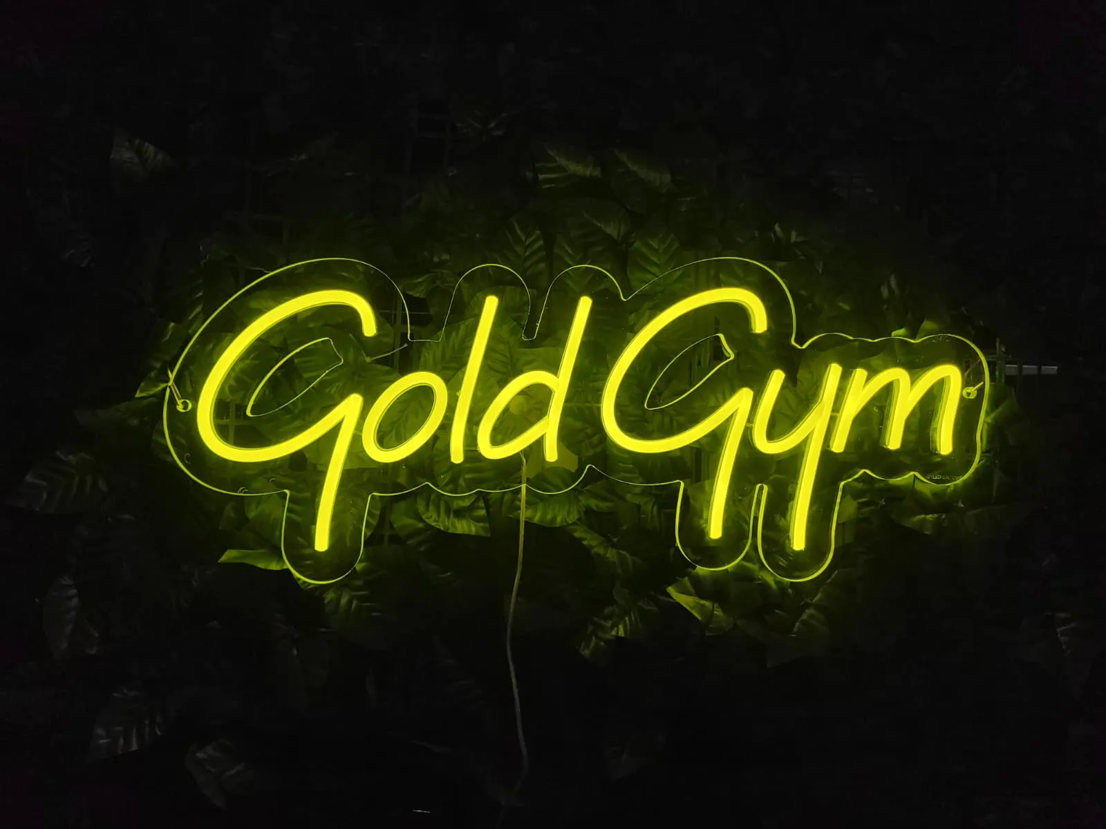Gold Gym