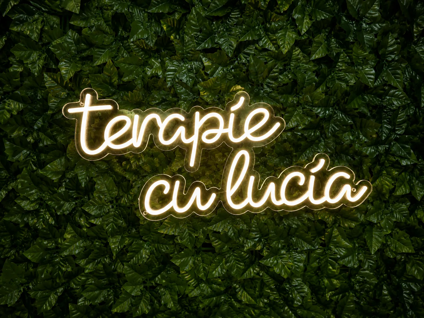 terapie cu lucia
