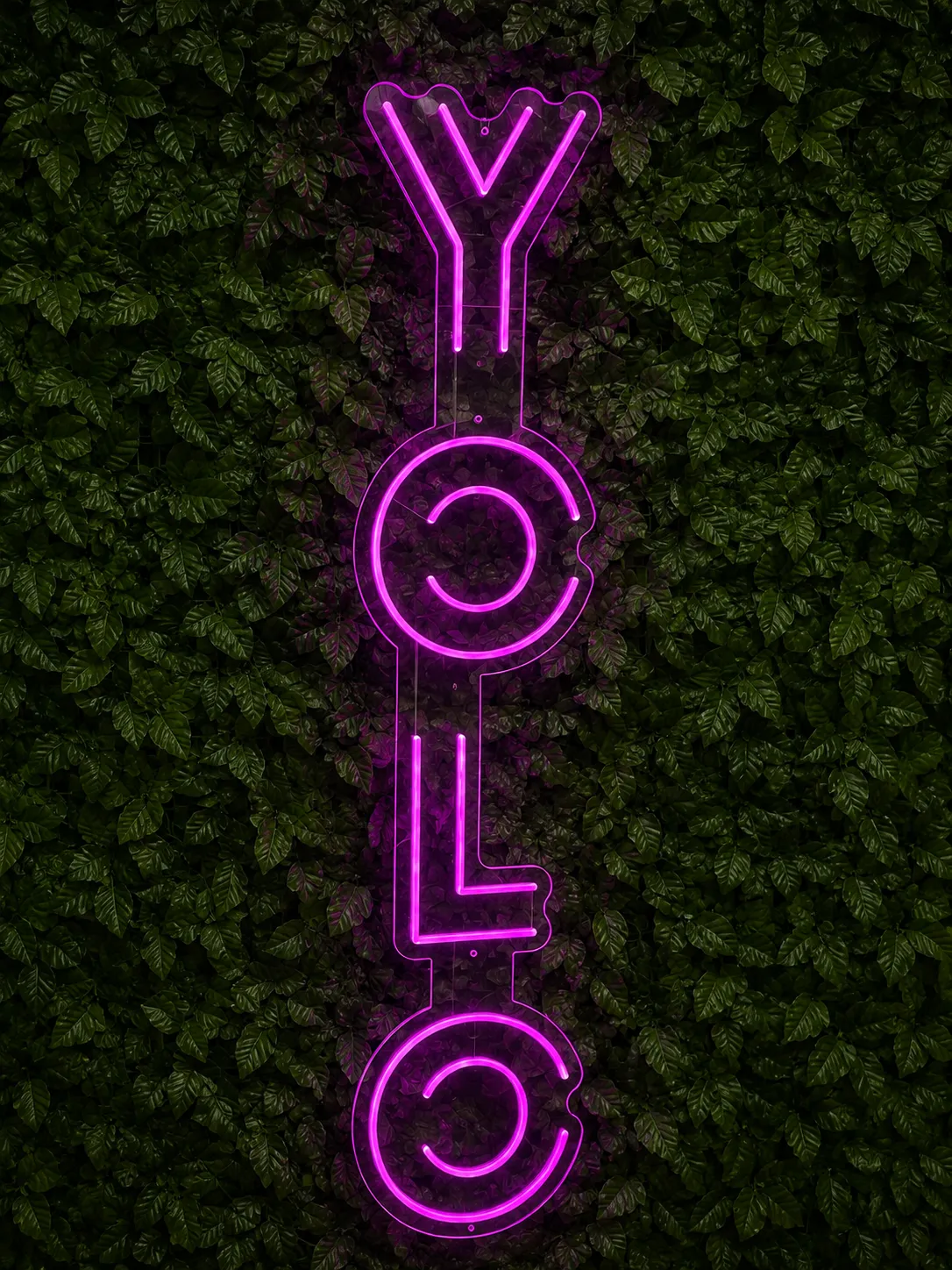 YOLO