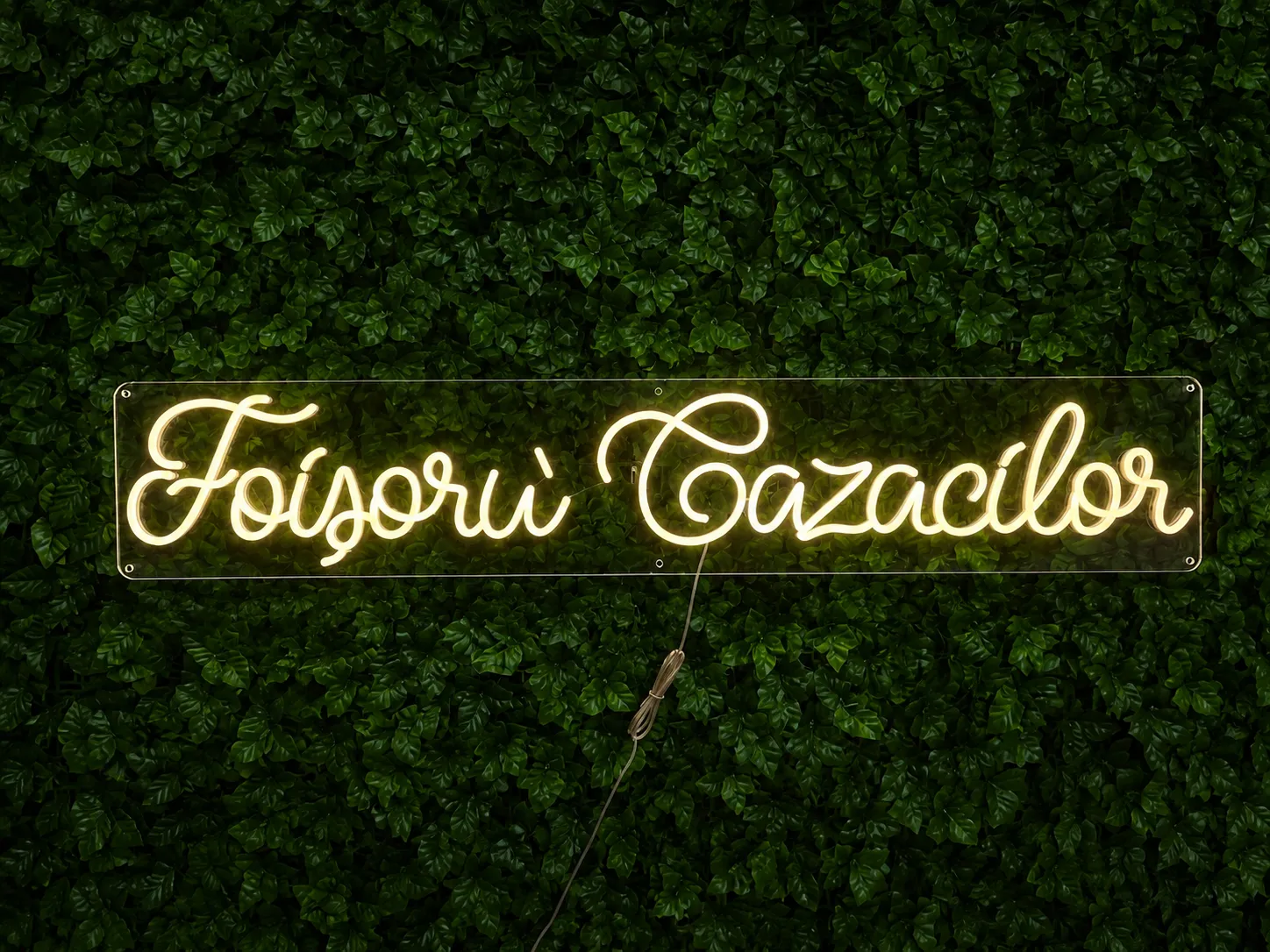 Foisoru Cazacilor