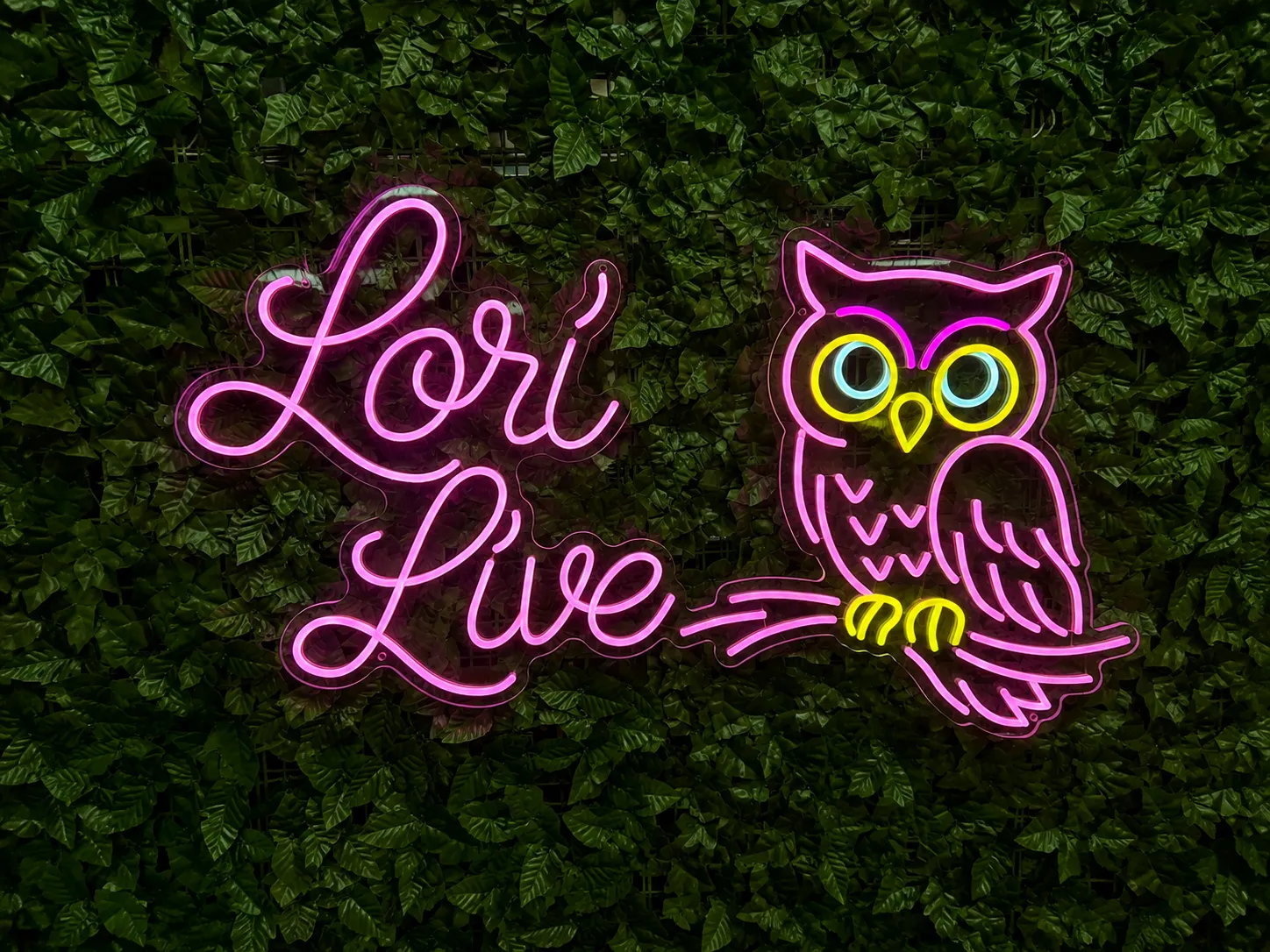 Lori Live
