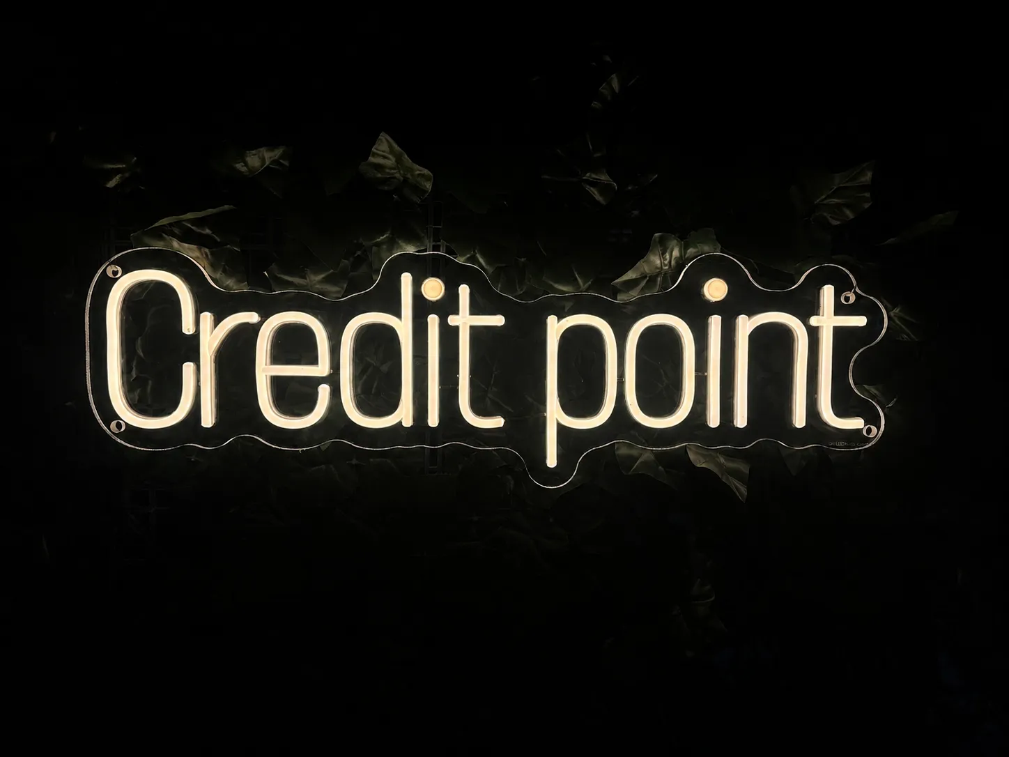 Credit point