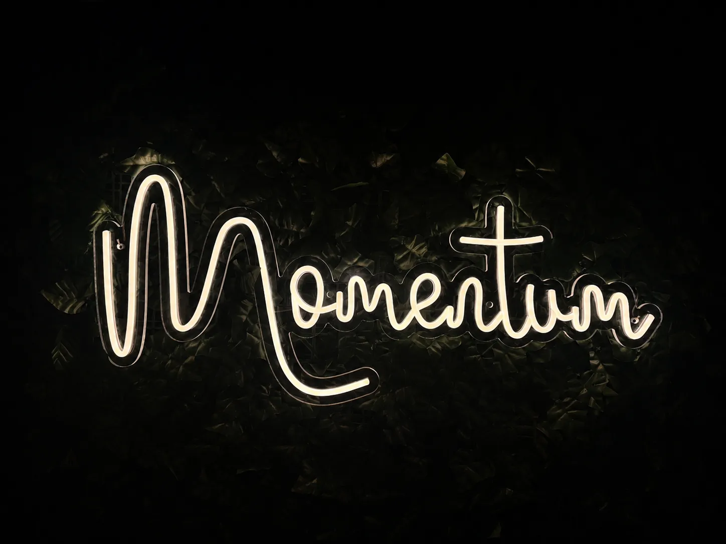 Momentum