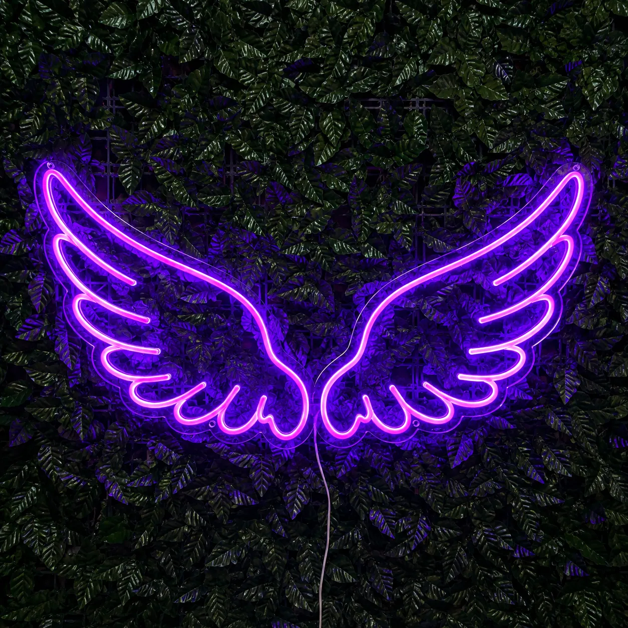 FLIGHT FESTIVAL