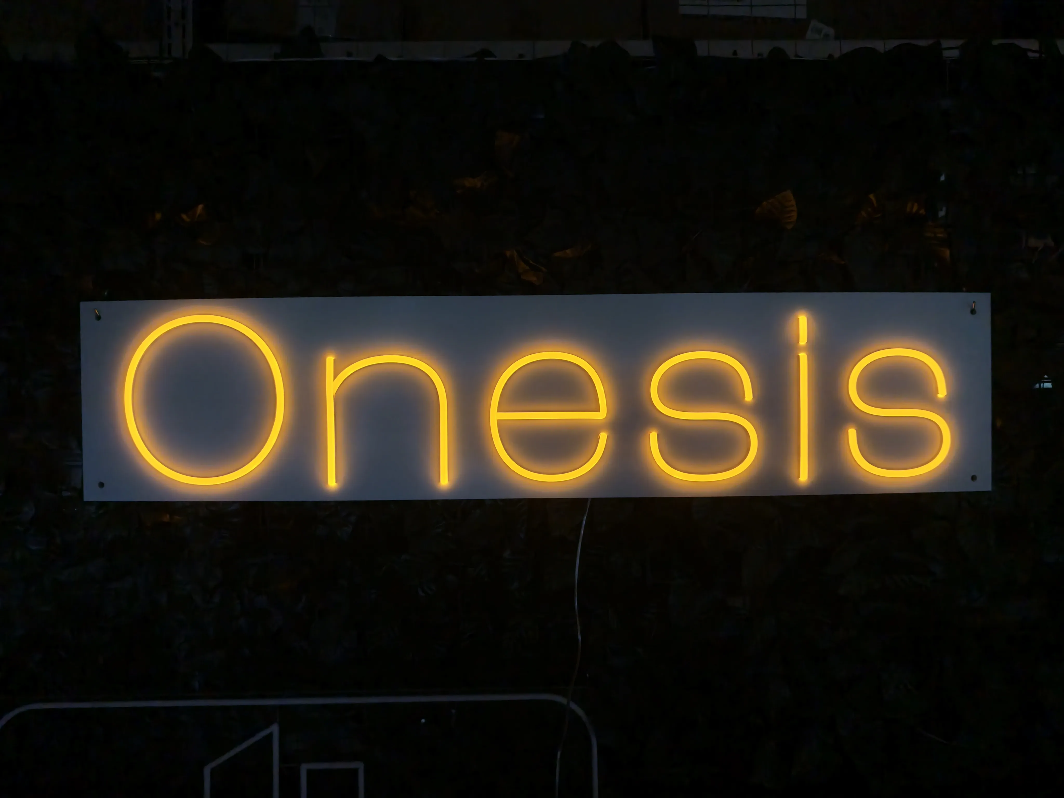 Onesis