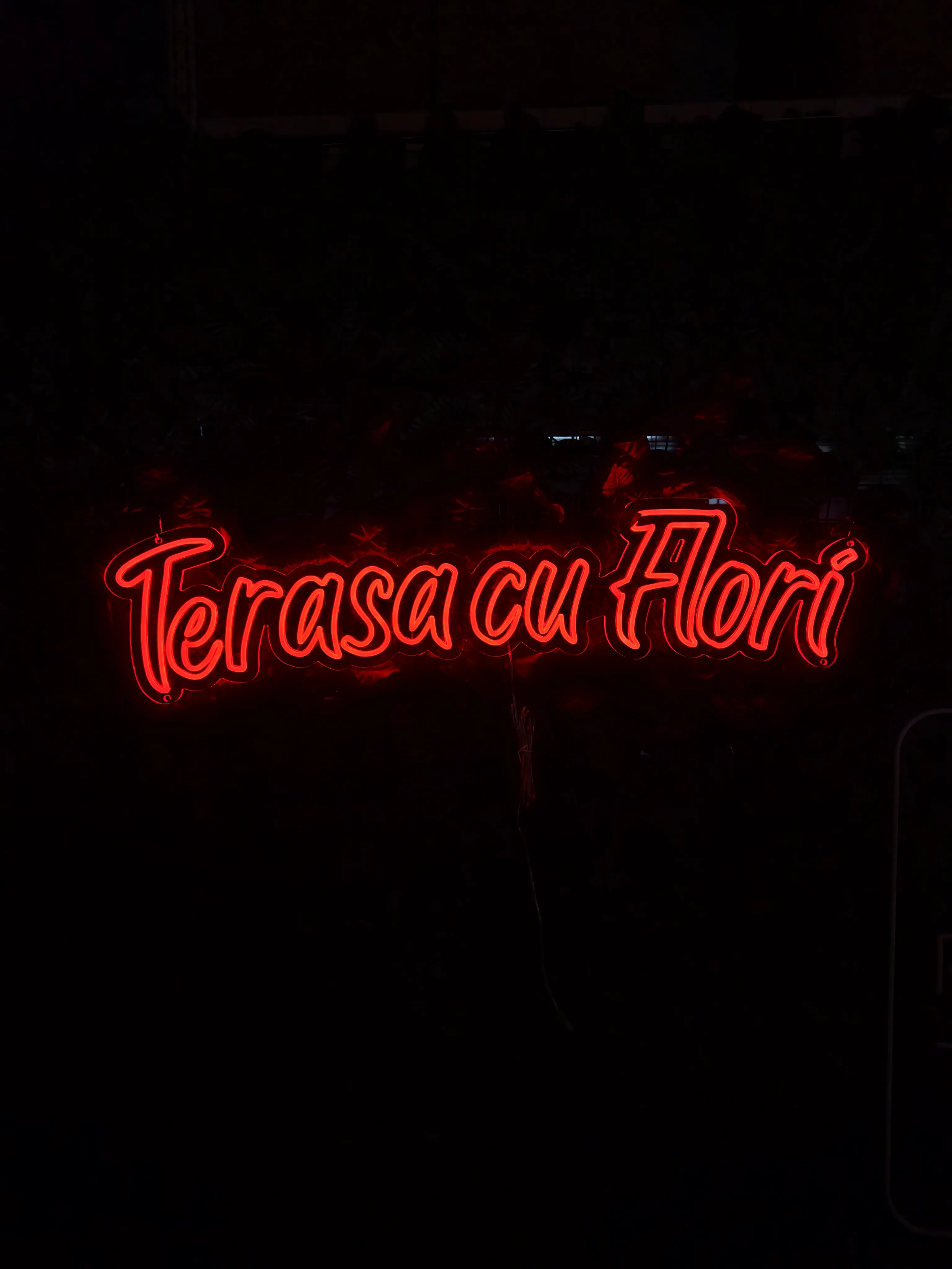 Terasa cu Flori