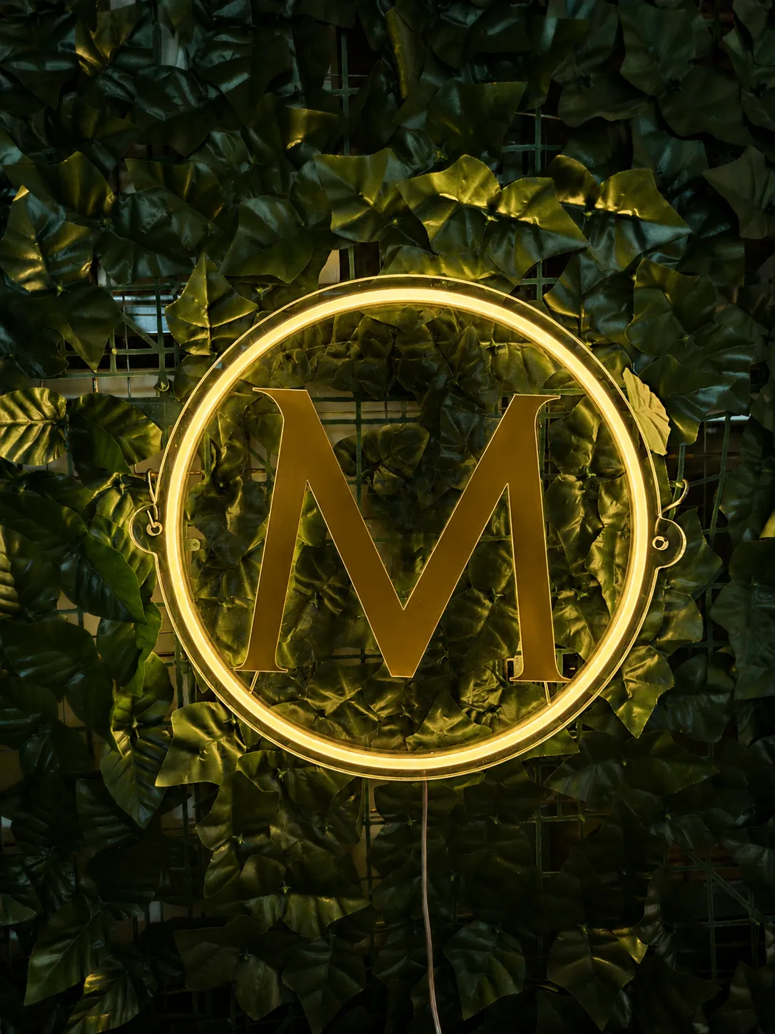 Pensiunea Morosanu • M