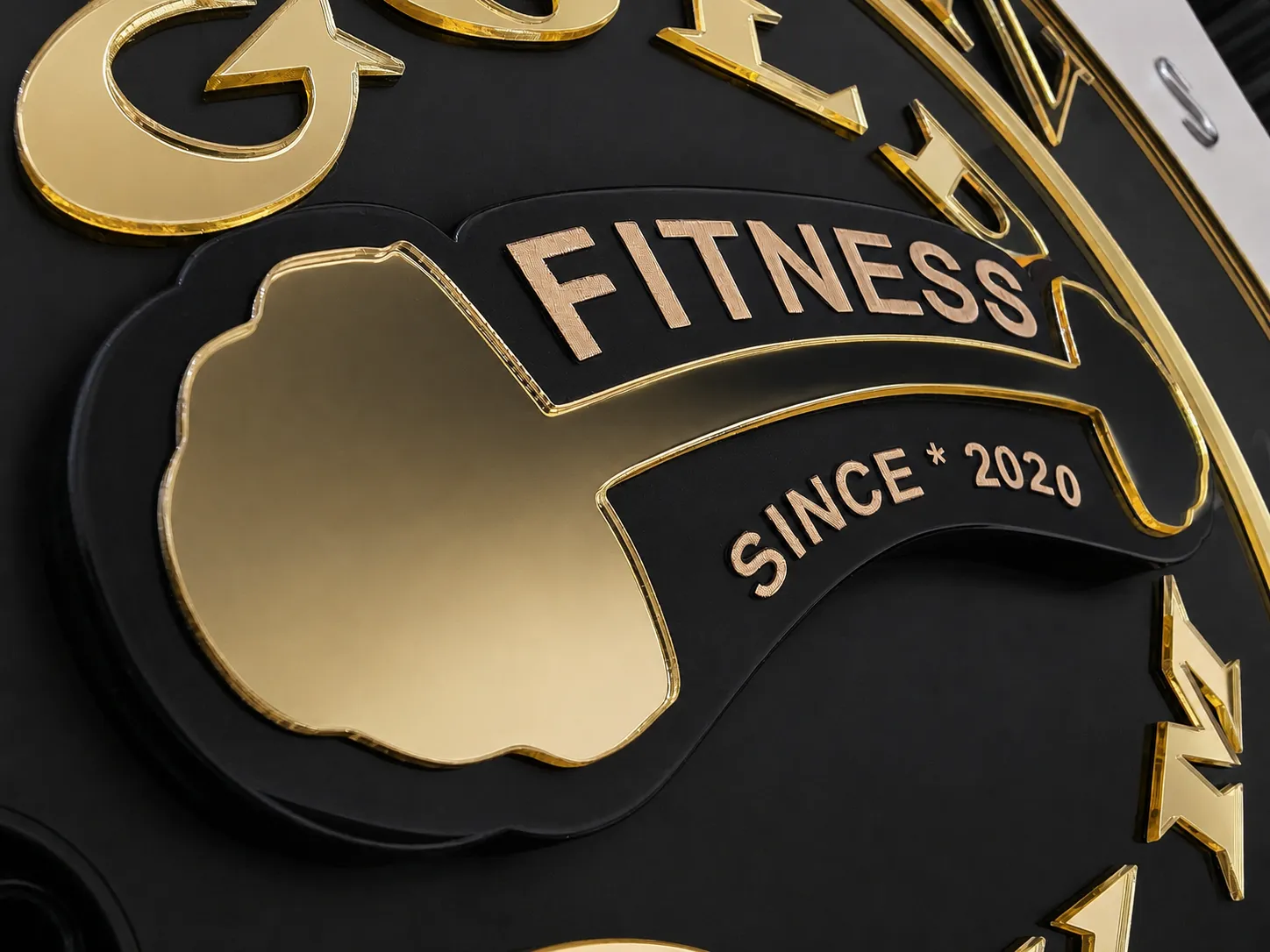 Florin Gold Gym Dorohoi