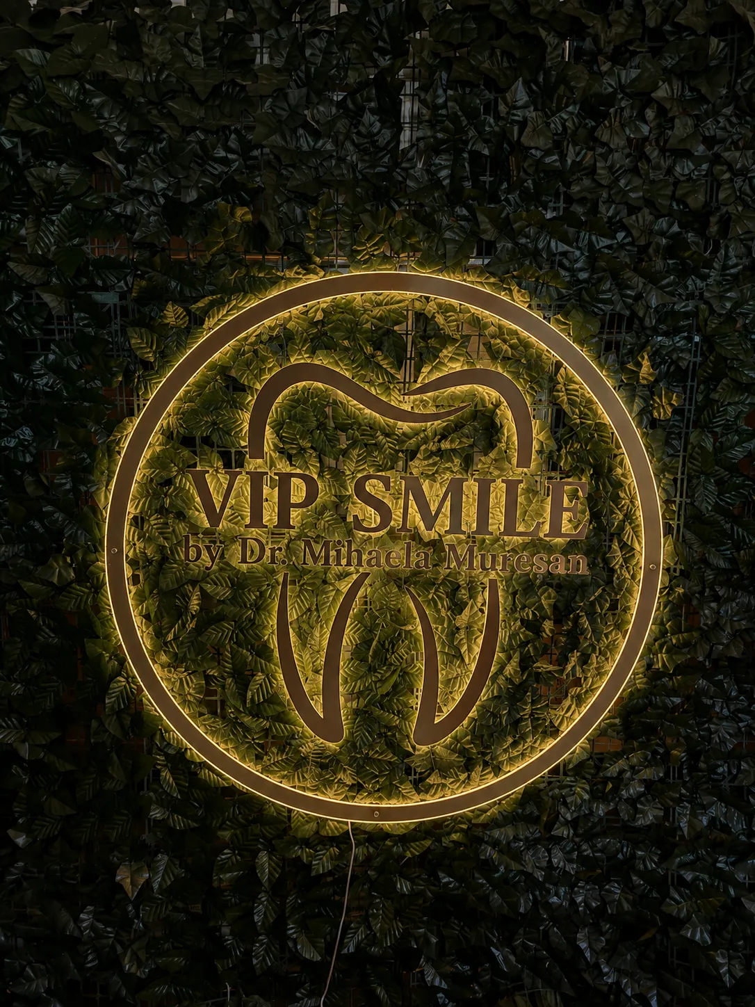 VIP SMILE