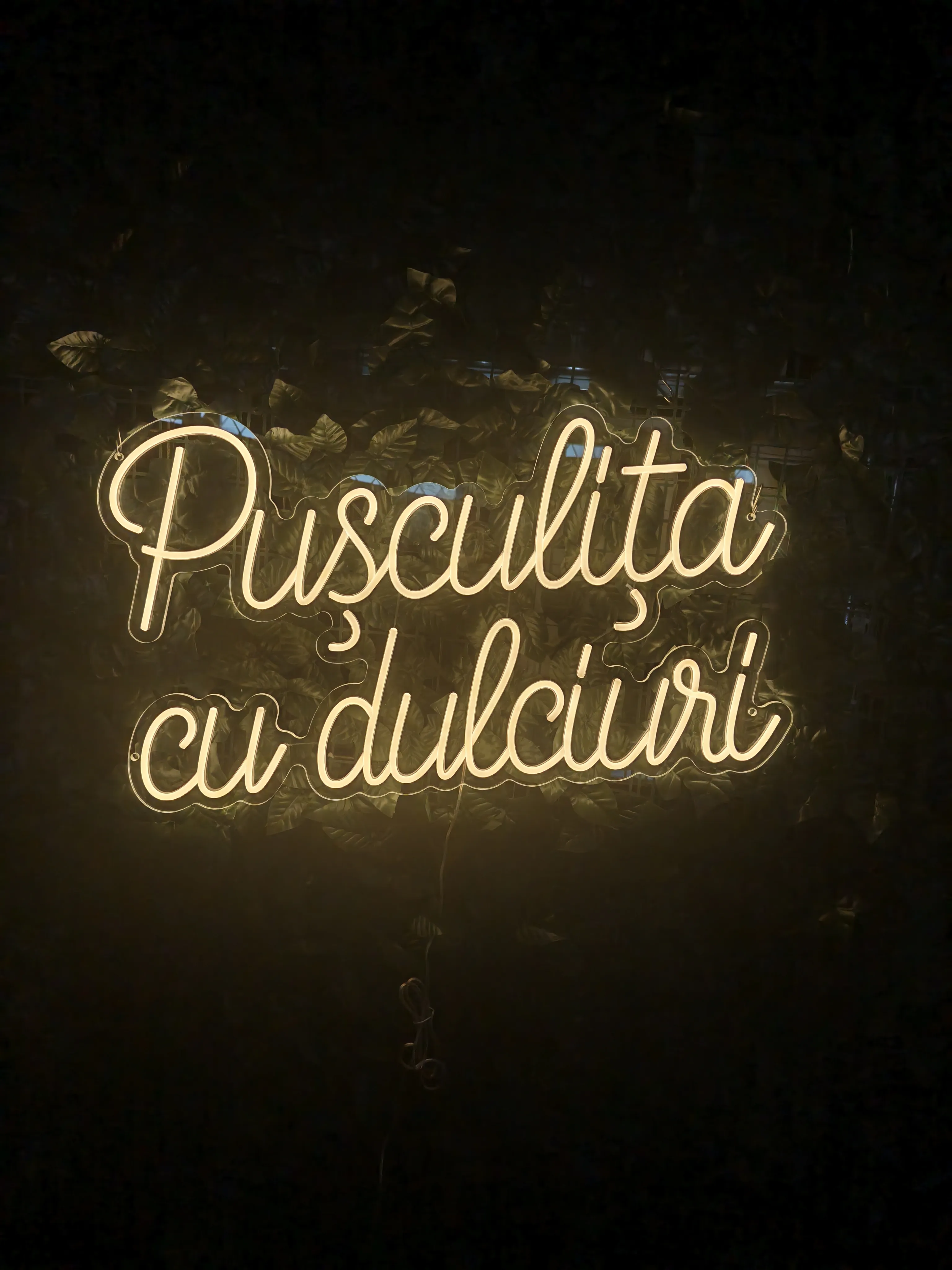 Pusculita cu Dulciuri