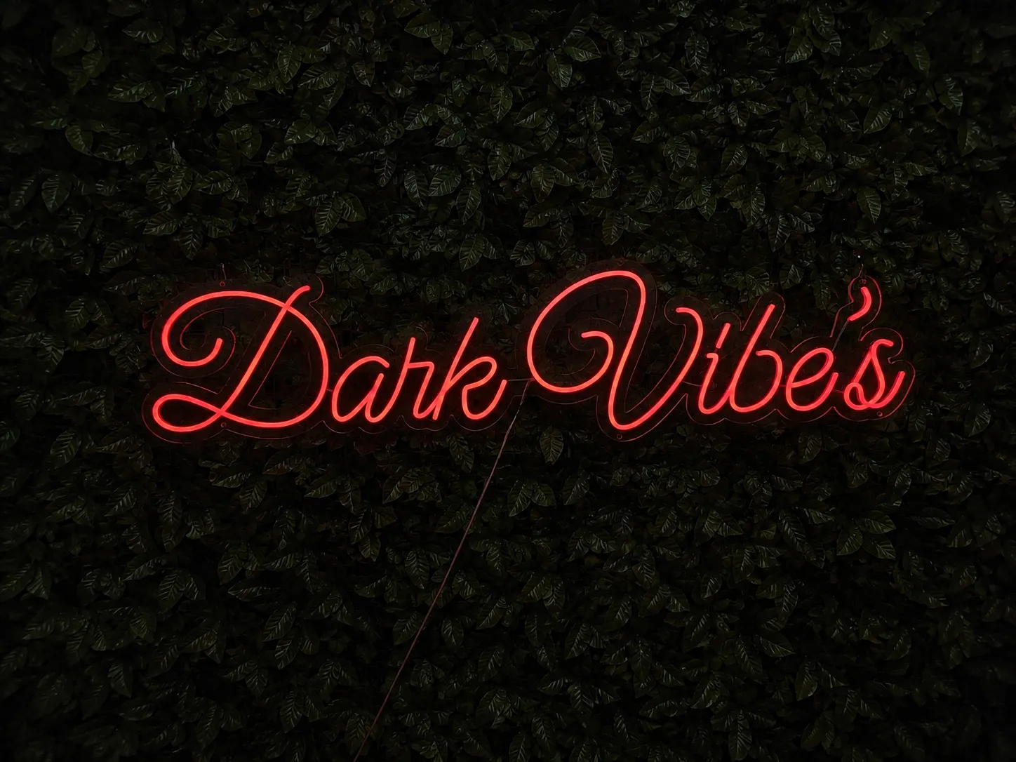 Dark Vibe's