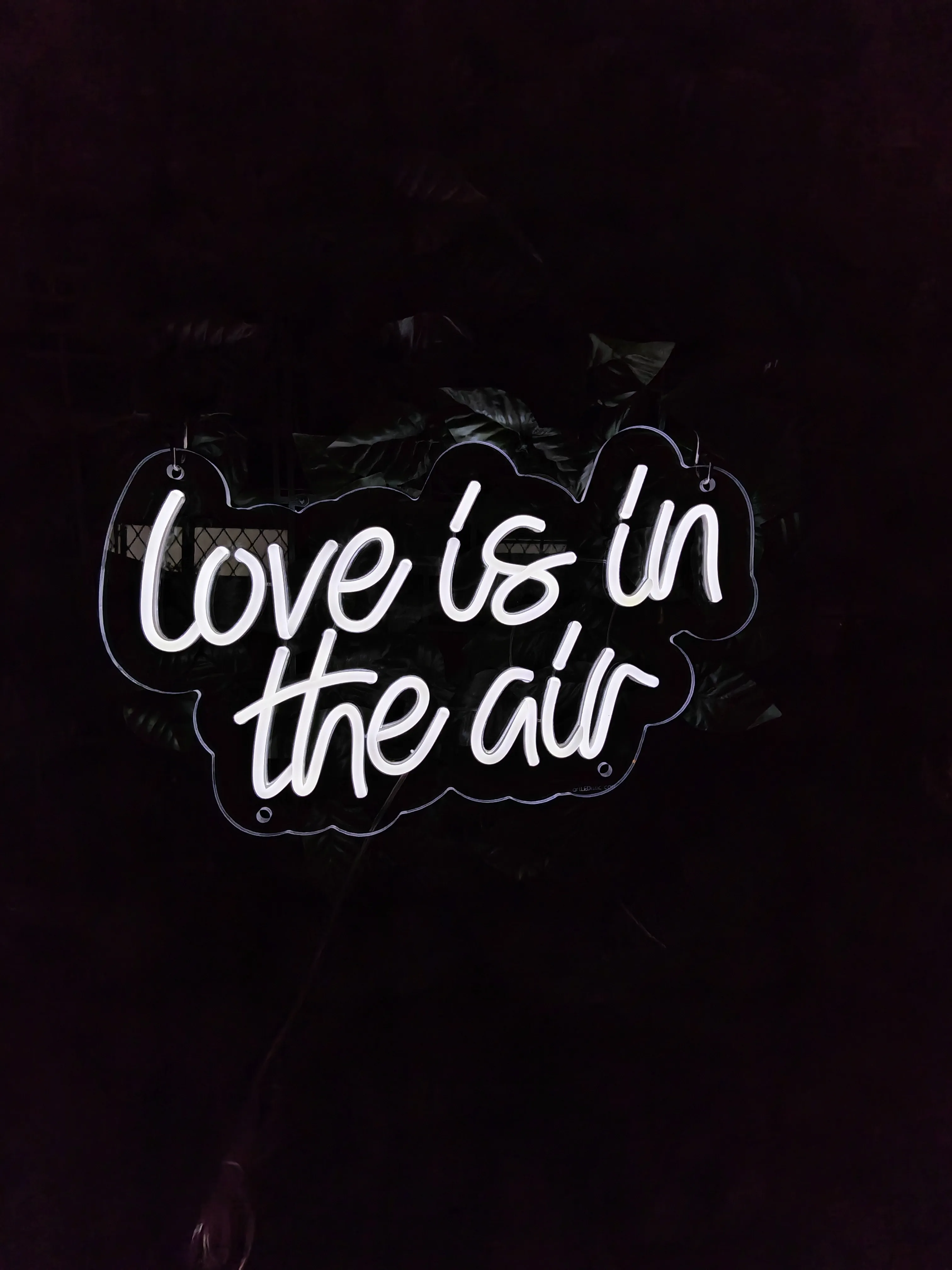 love is in the air