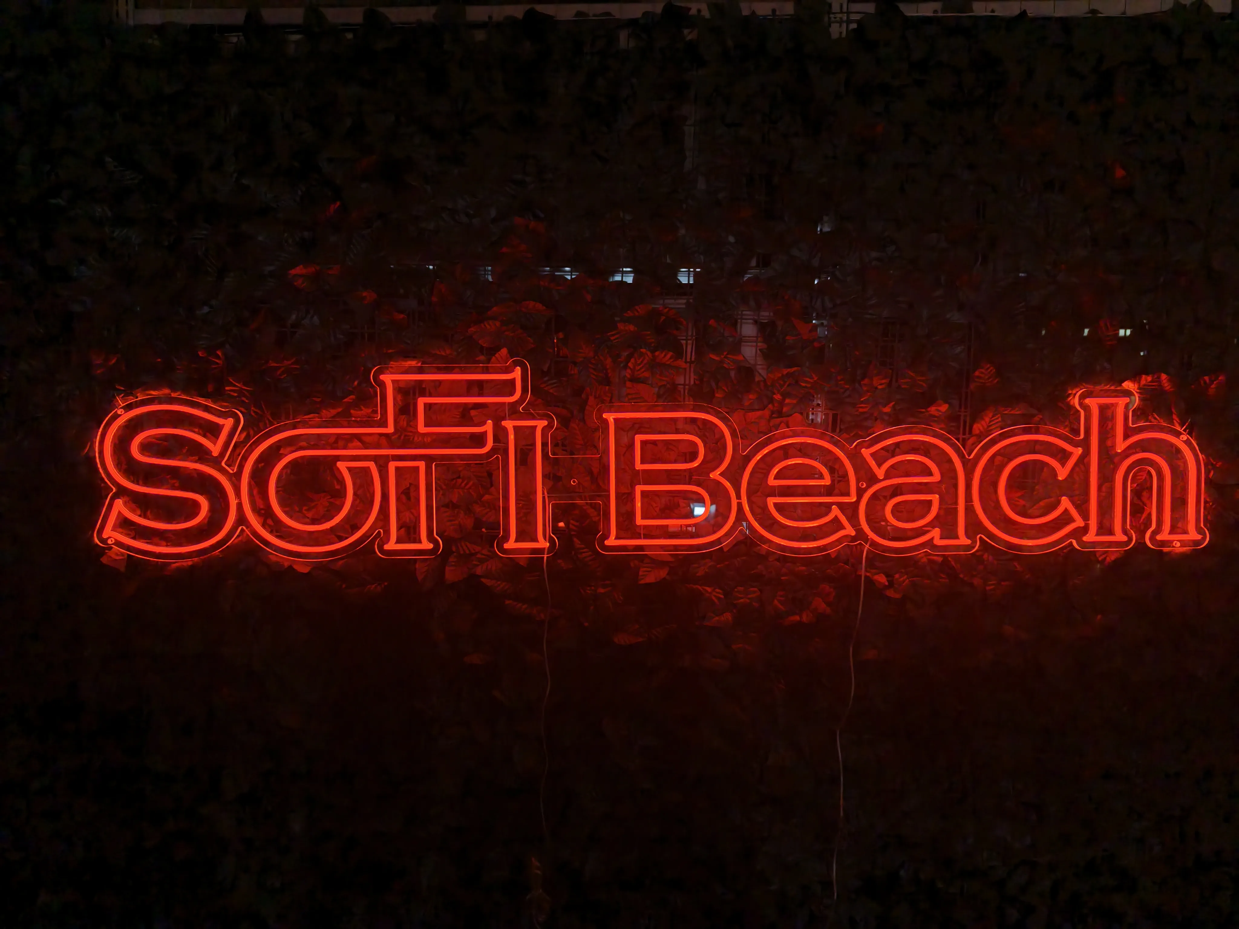 SoFi Beach