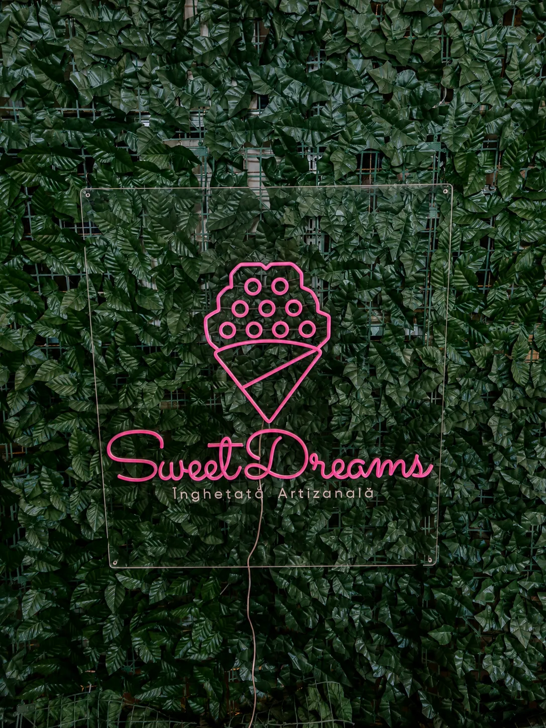 Sweet Dreams