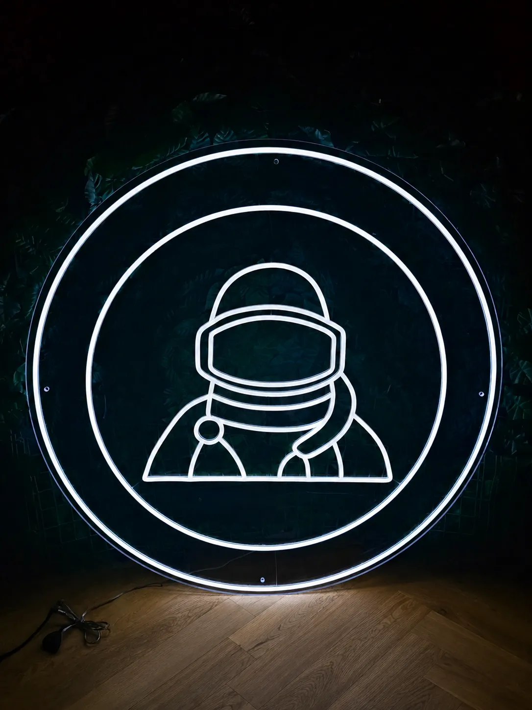 ASTRONAUTE