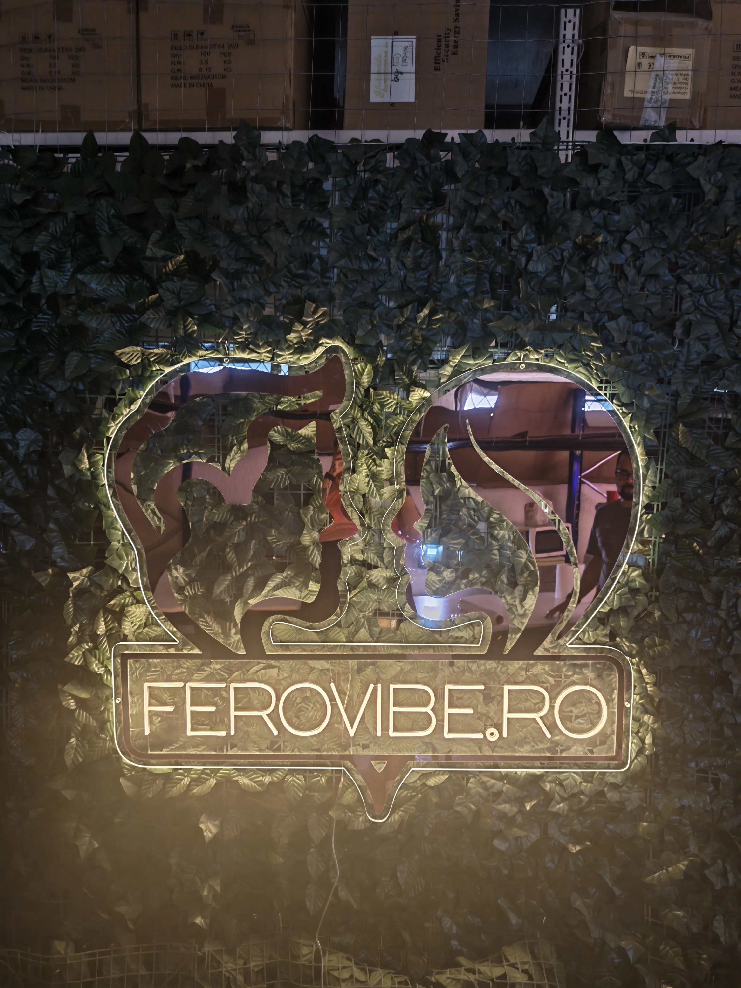FEROVIBES.RO
