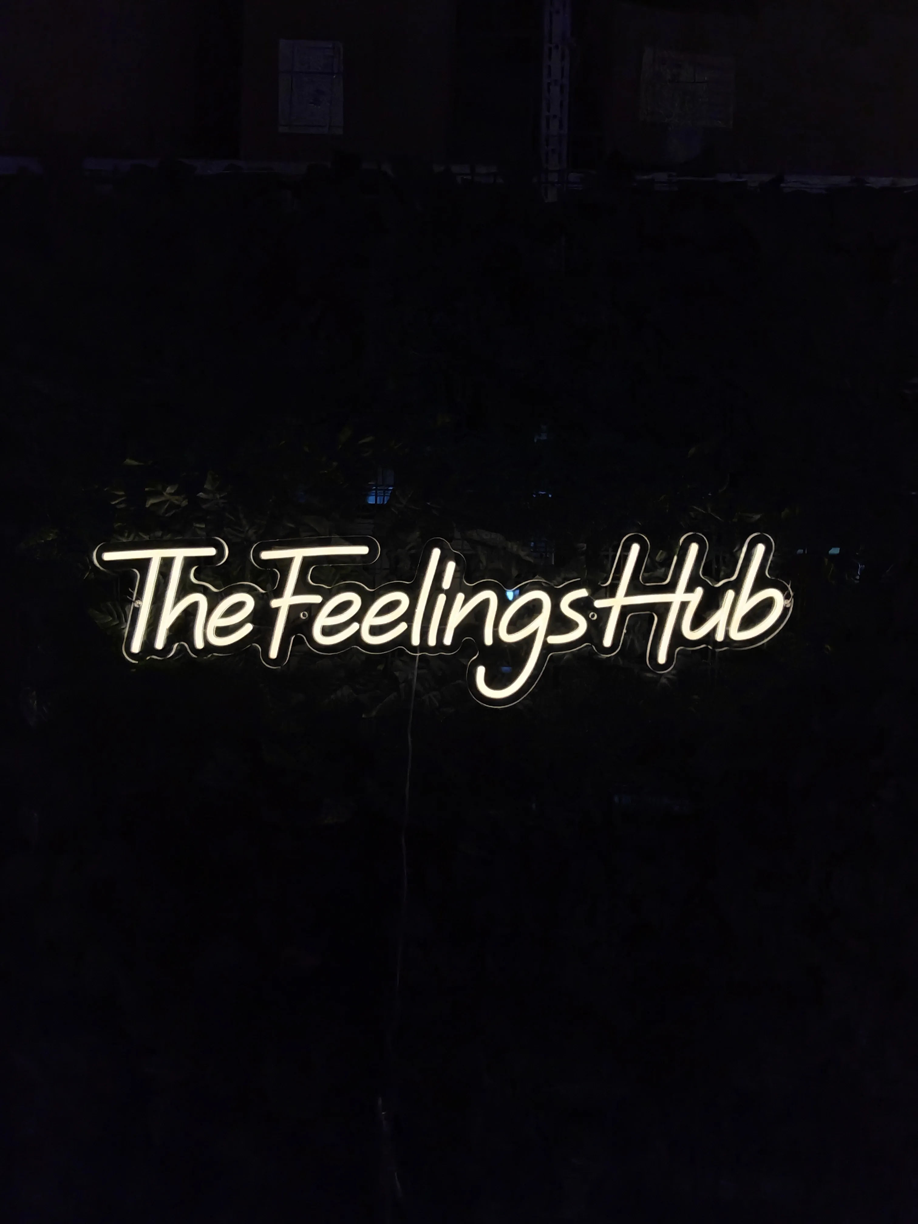 The Feelings Hub
