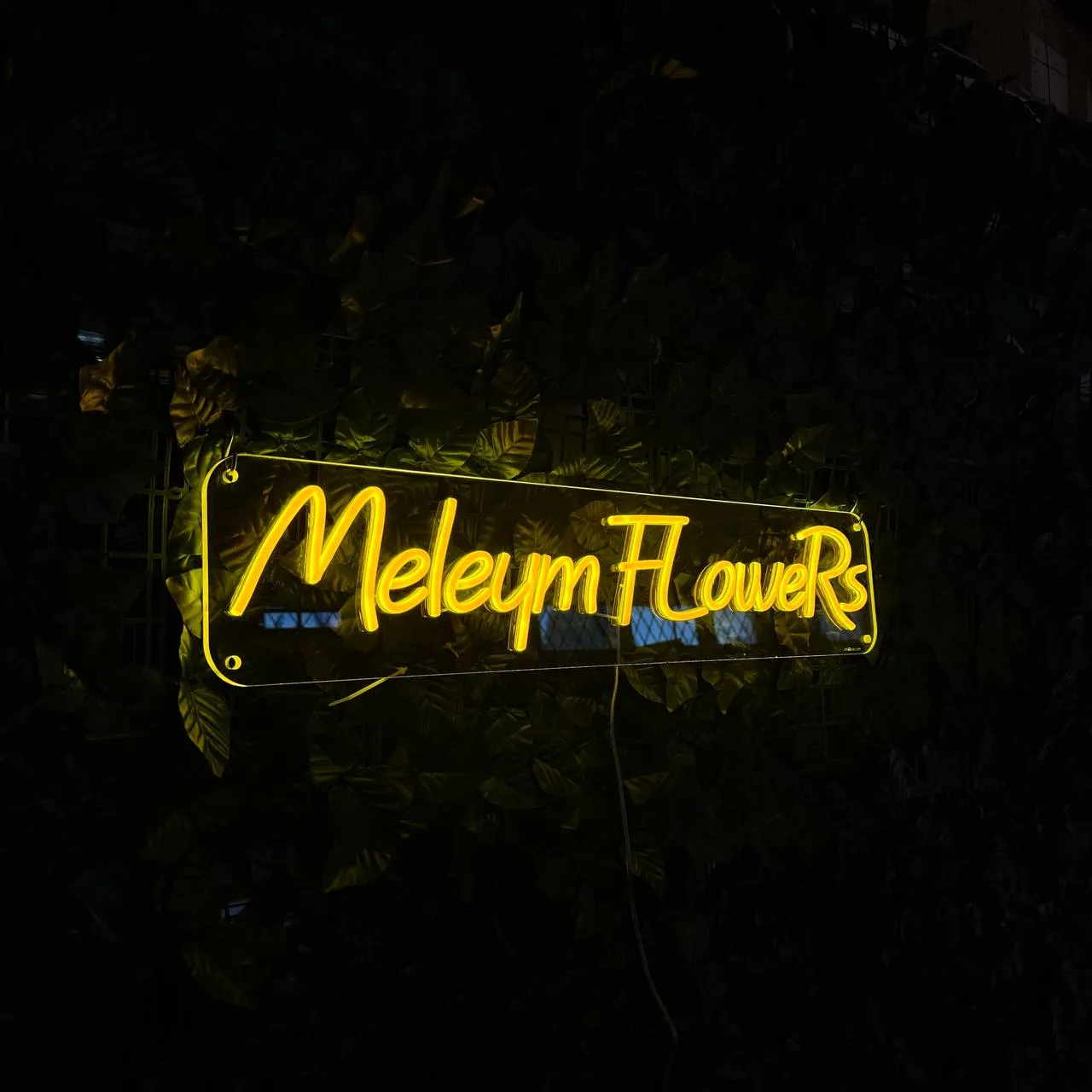 Meleym FloweRs