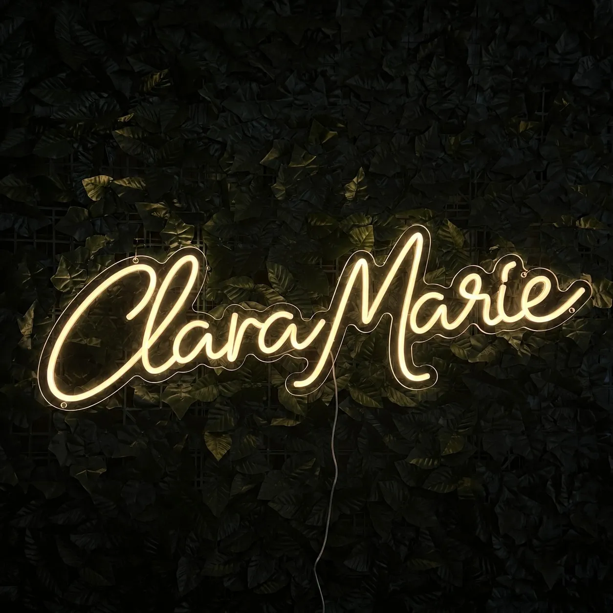 Clara Marie