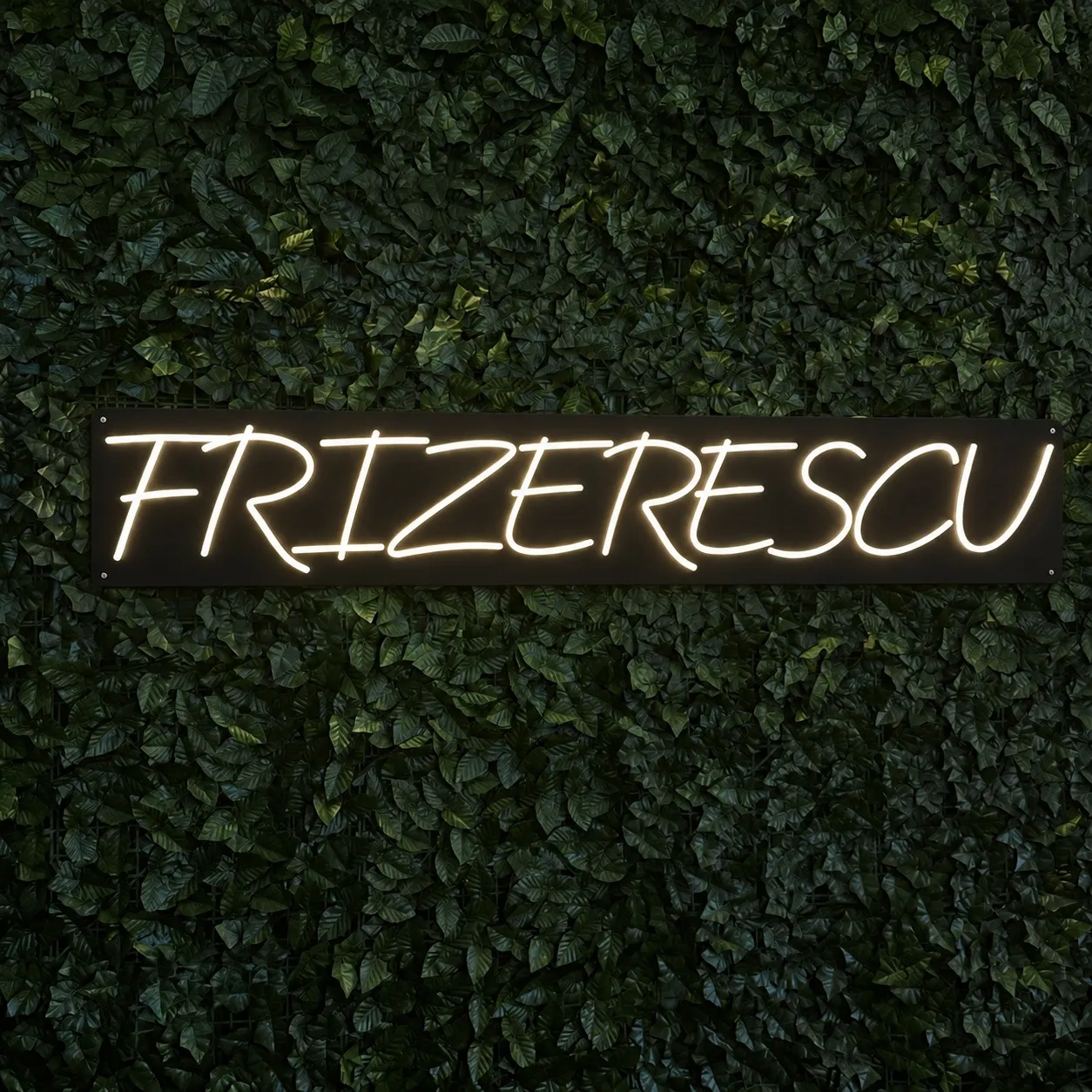 FRIZERESCU