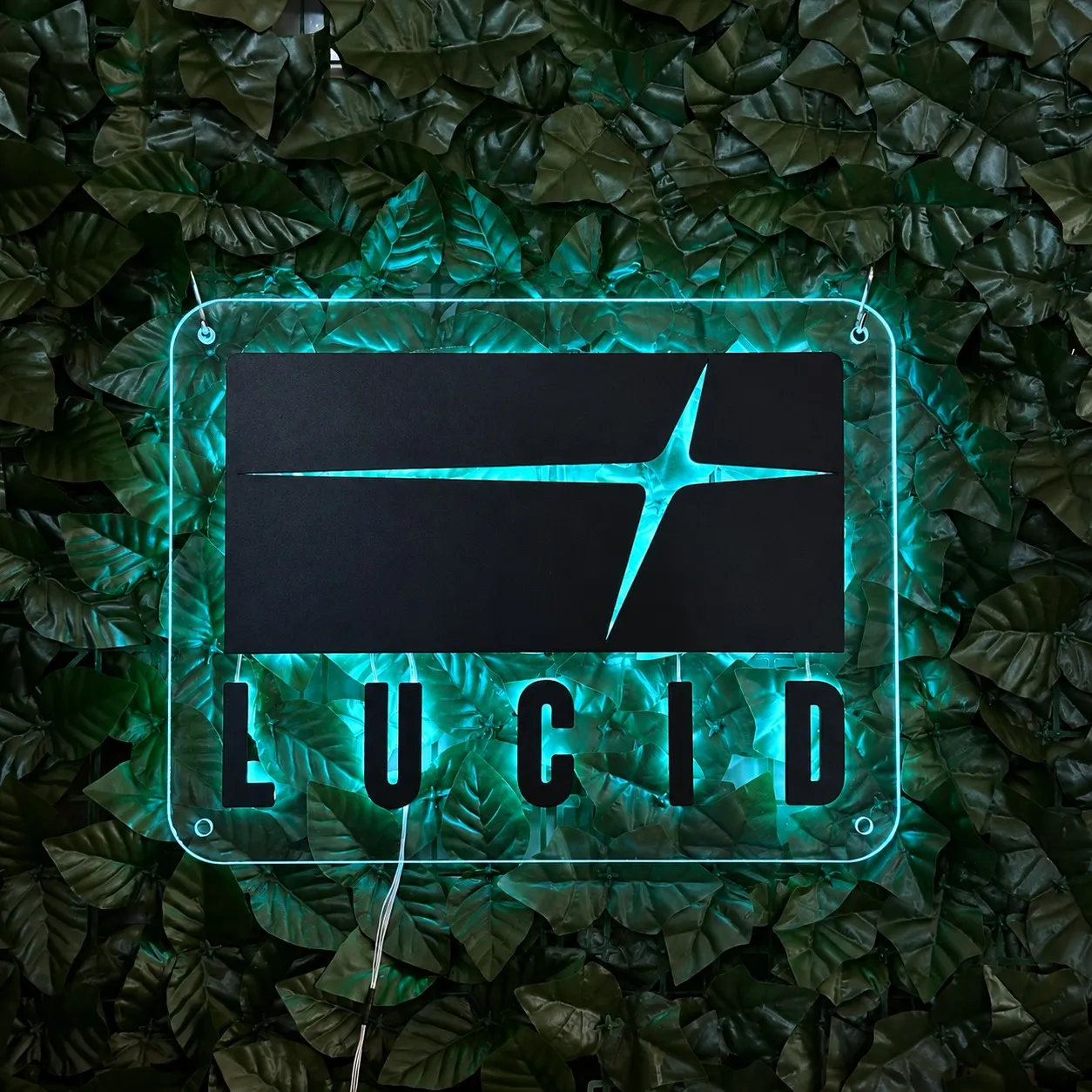 LUCID
