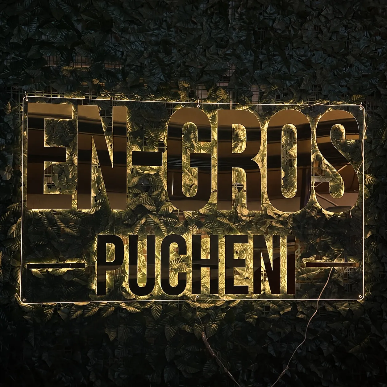 EN-GROS PUCHENI