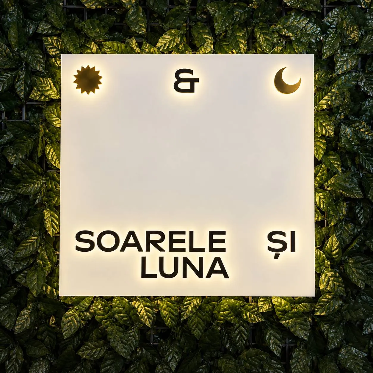IL SOLE E LA LUNA