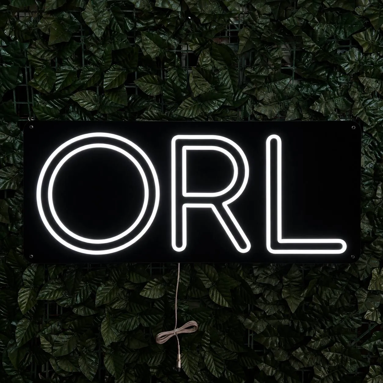 ORL