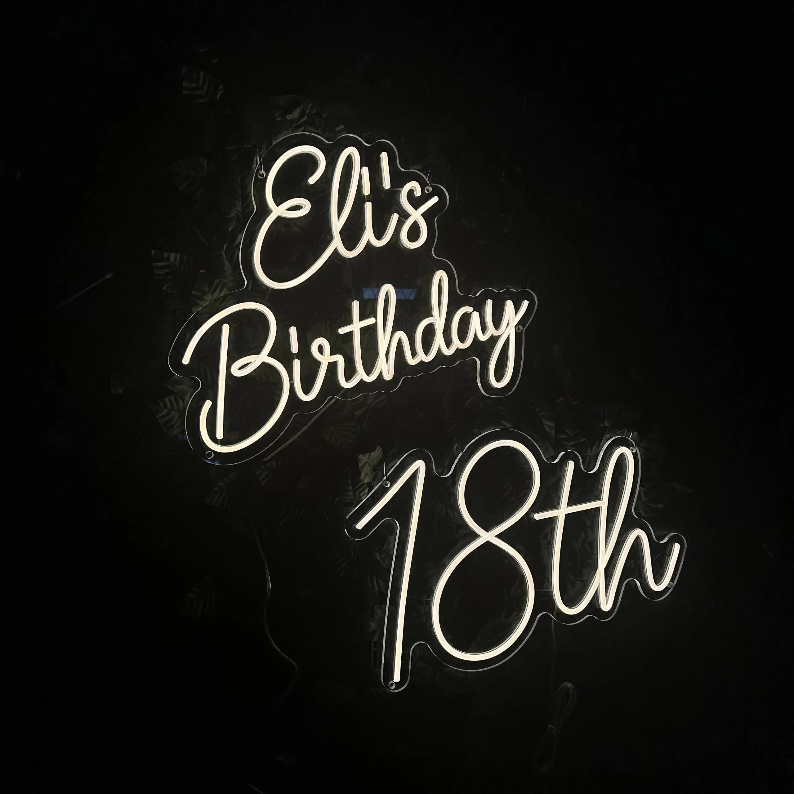 Elis 18th Birthday