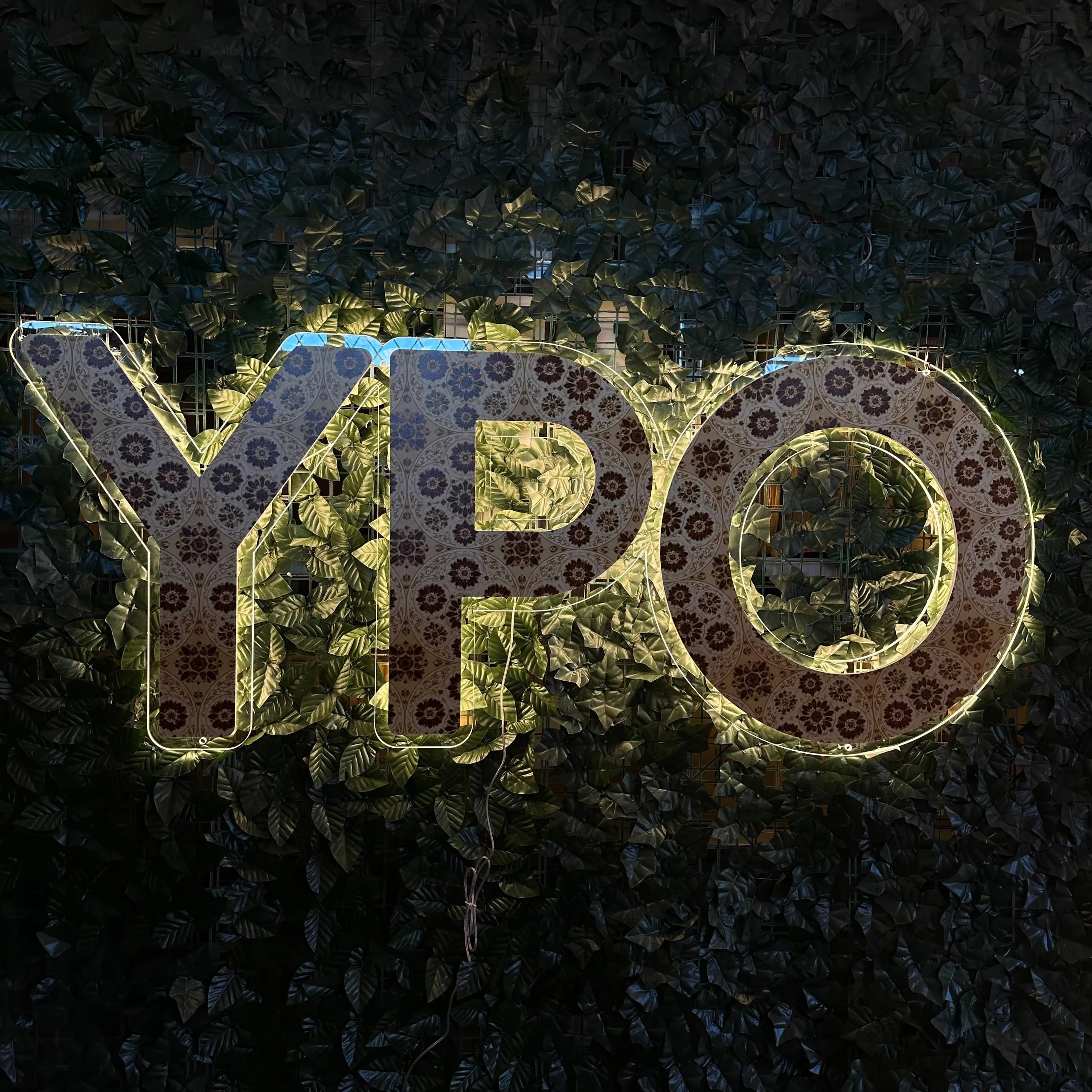 YPO