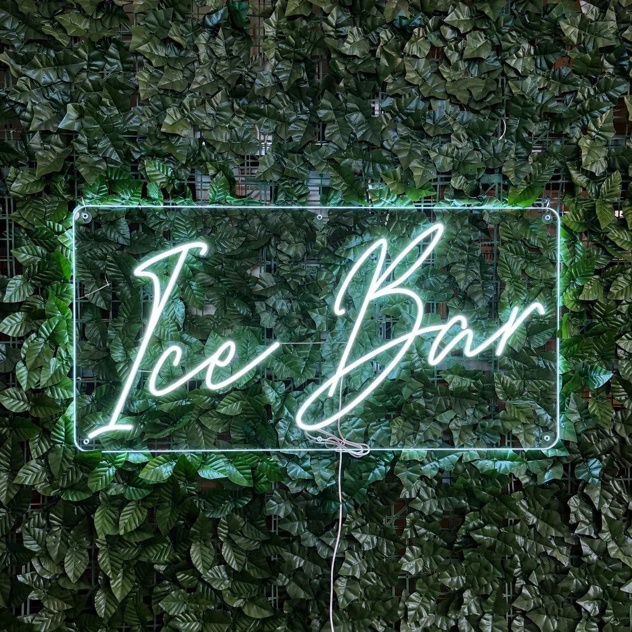 Ice Bar